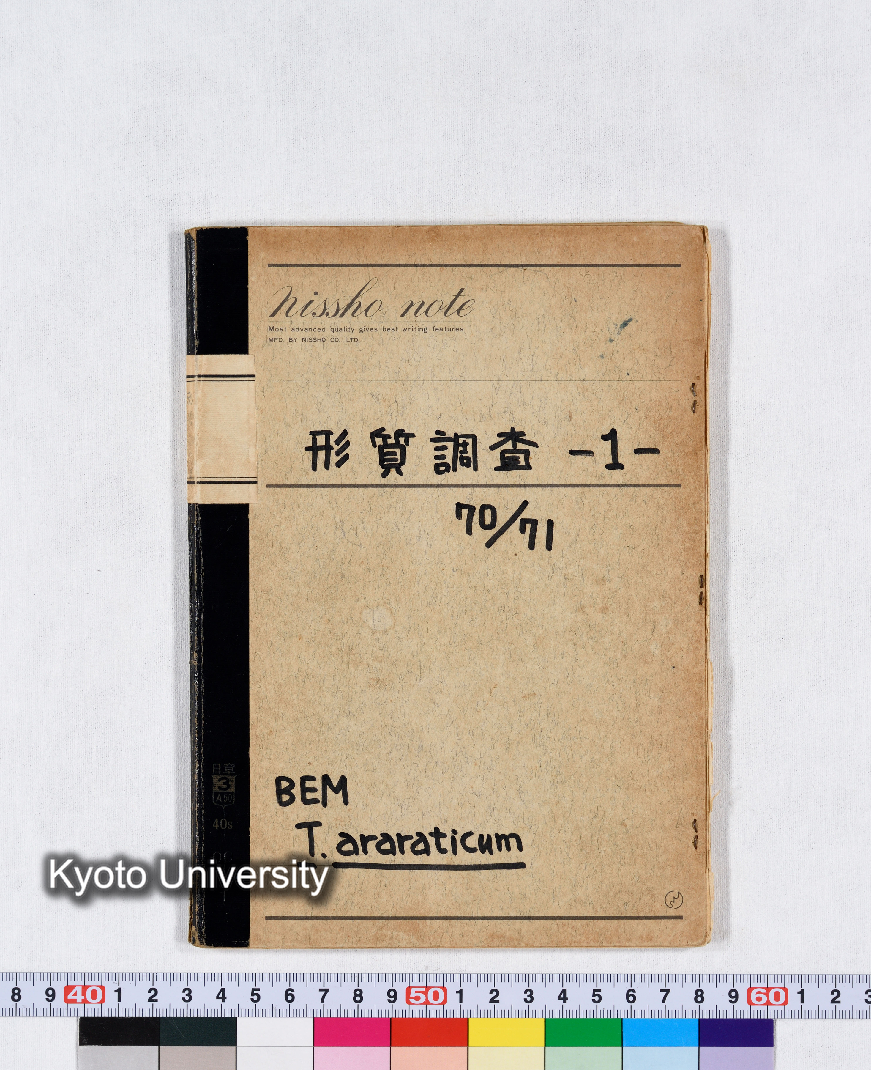 形質調査 -1- 70/71 BEM T.araraticum (1)