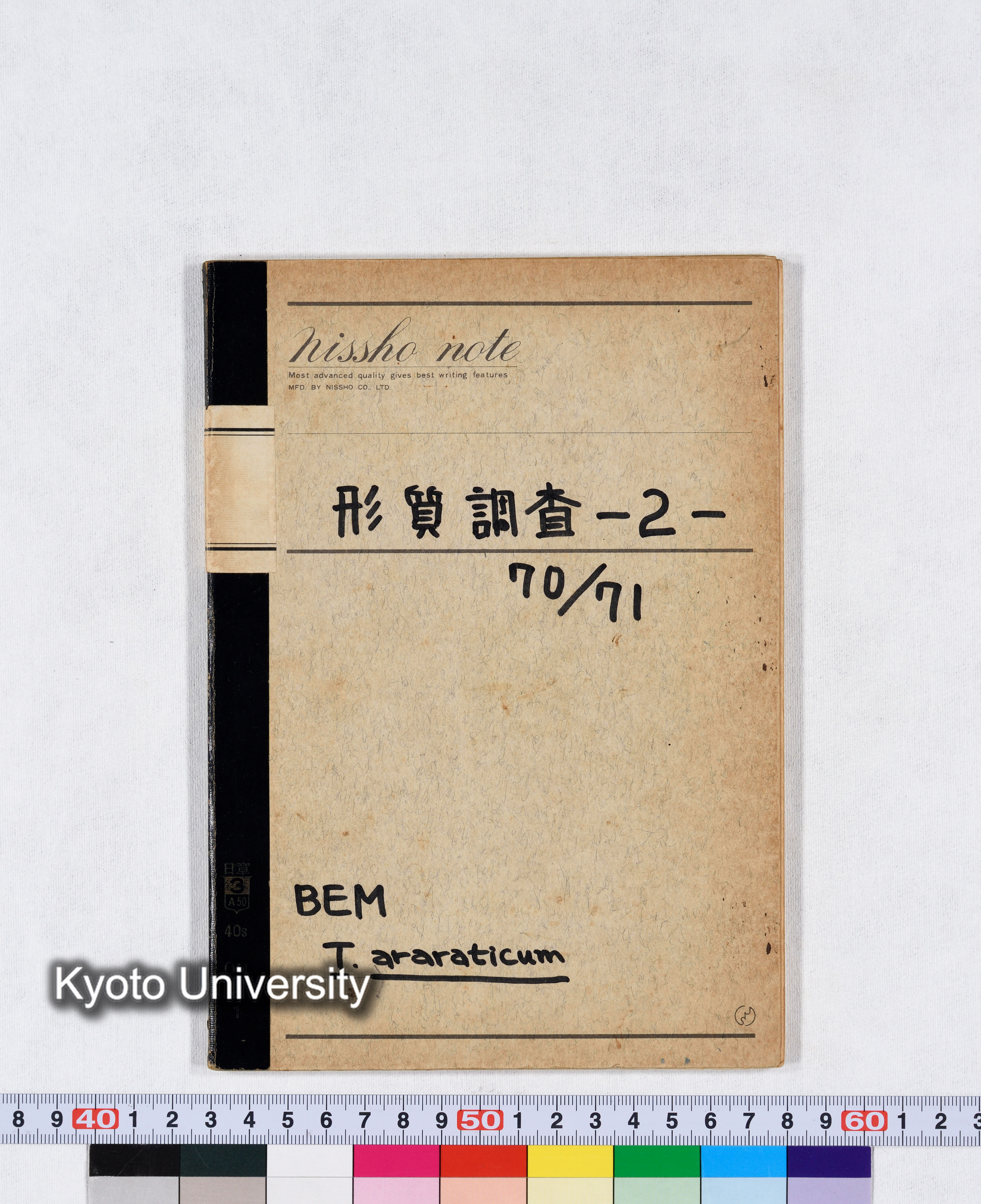 形質調査 -2- 70/71 BEM T.araraticum (1)