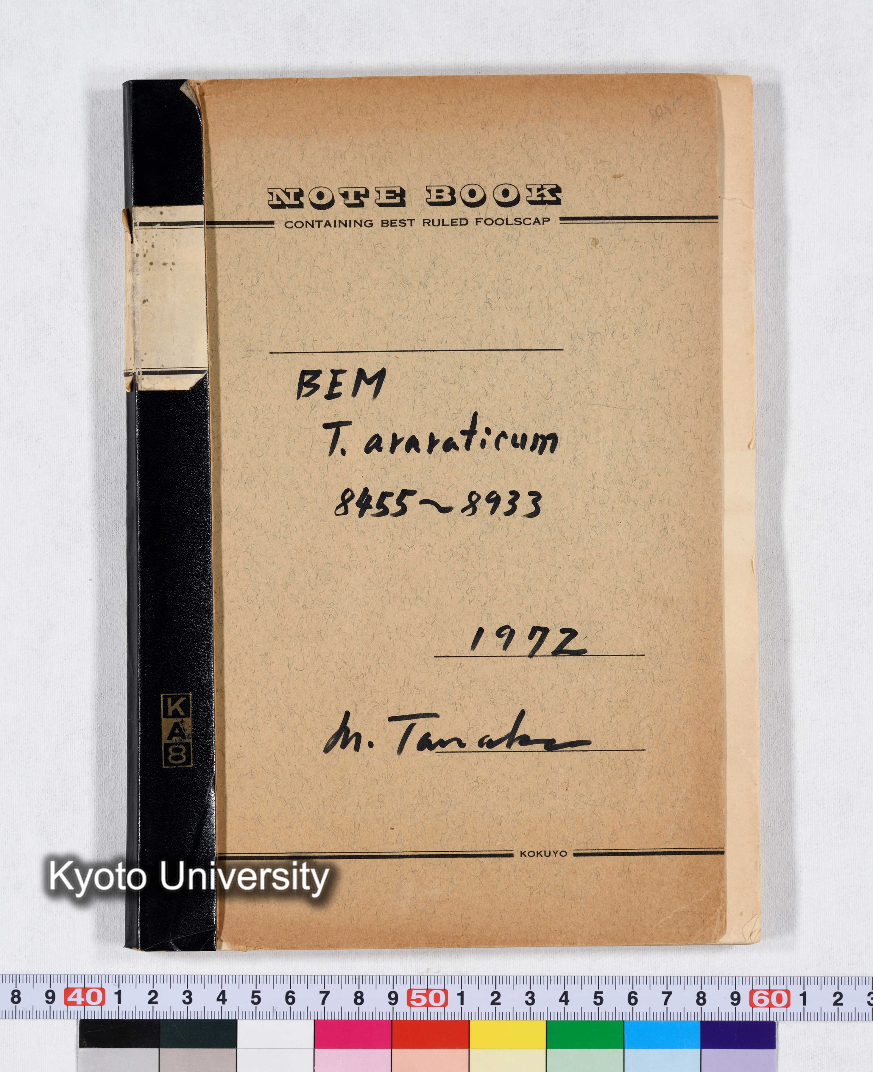 BEM T.araraticum 8455～8933 1972 (1)