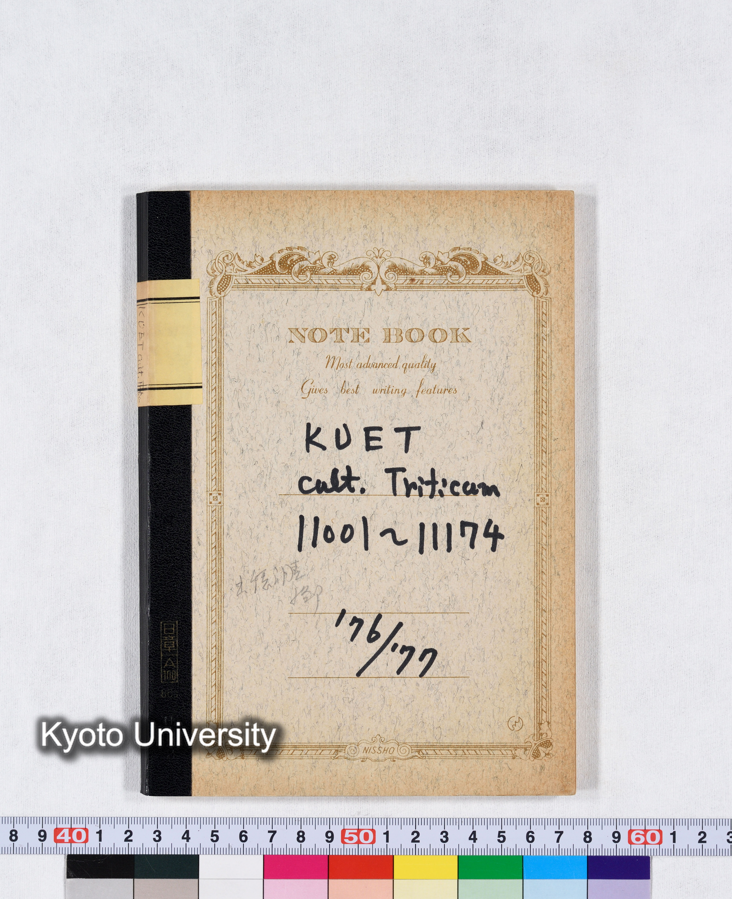 KUET cult.Triticum 11001～11174 '76/'77 (2)