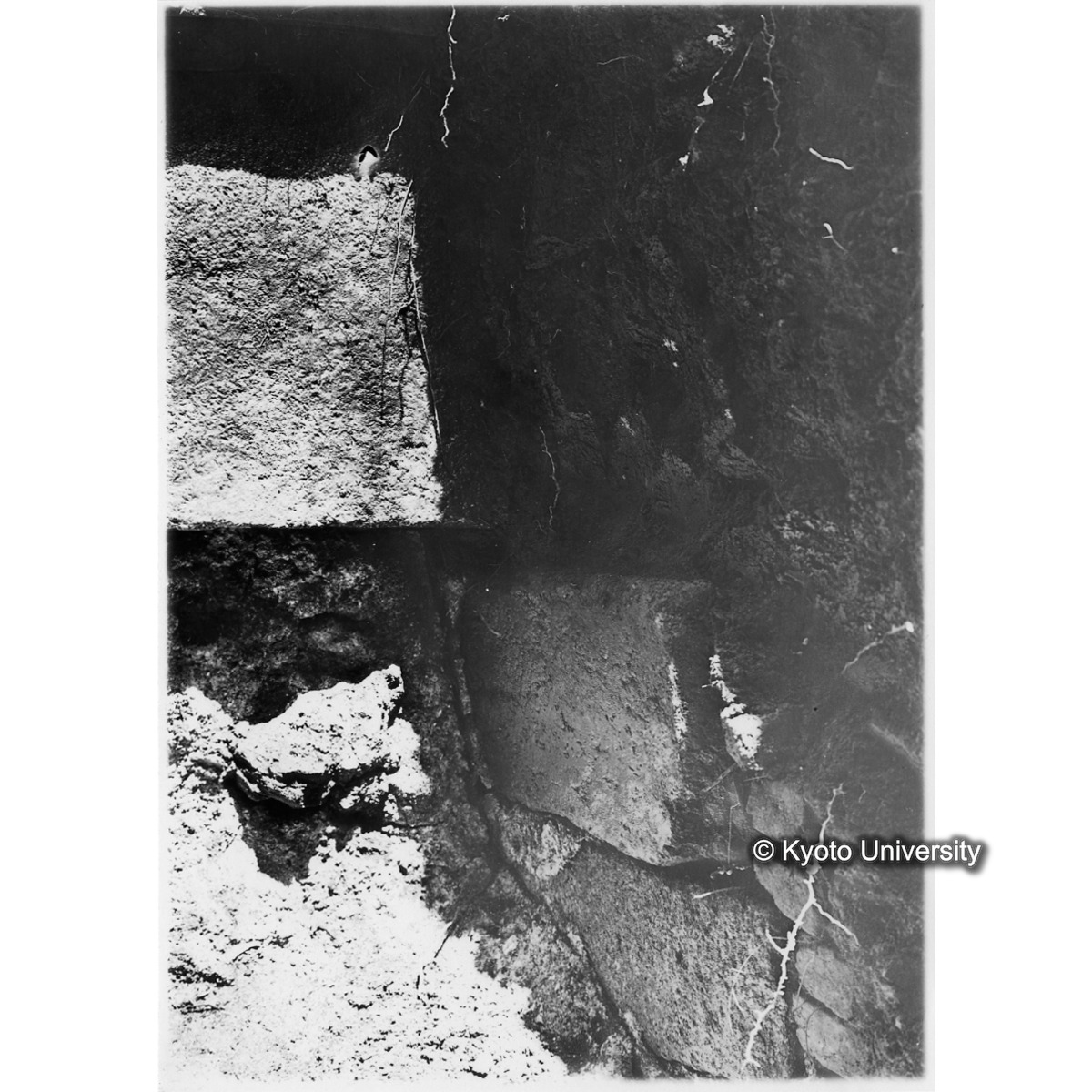 [紙焼き写真]石室南側戸口東壁（細部） (1)