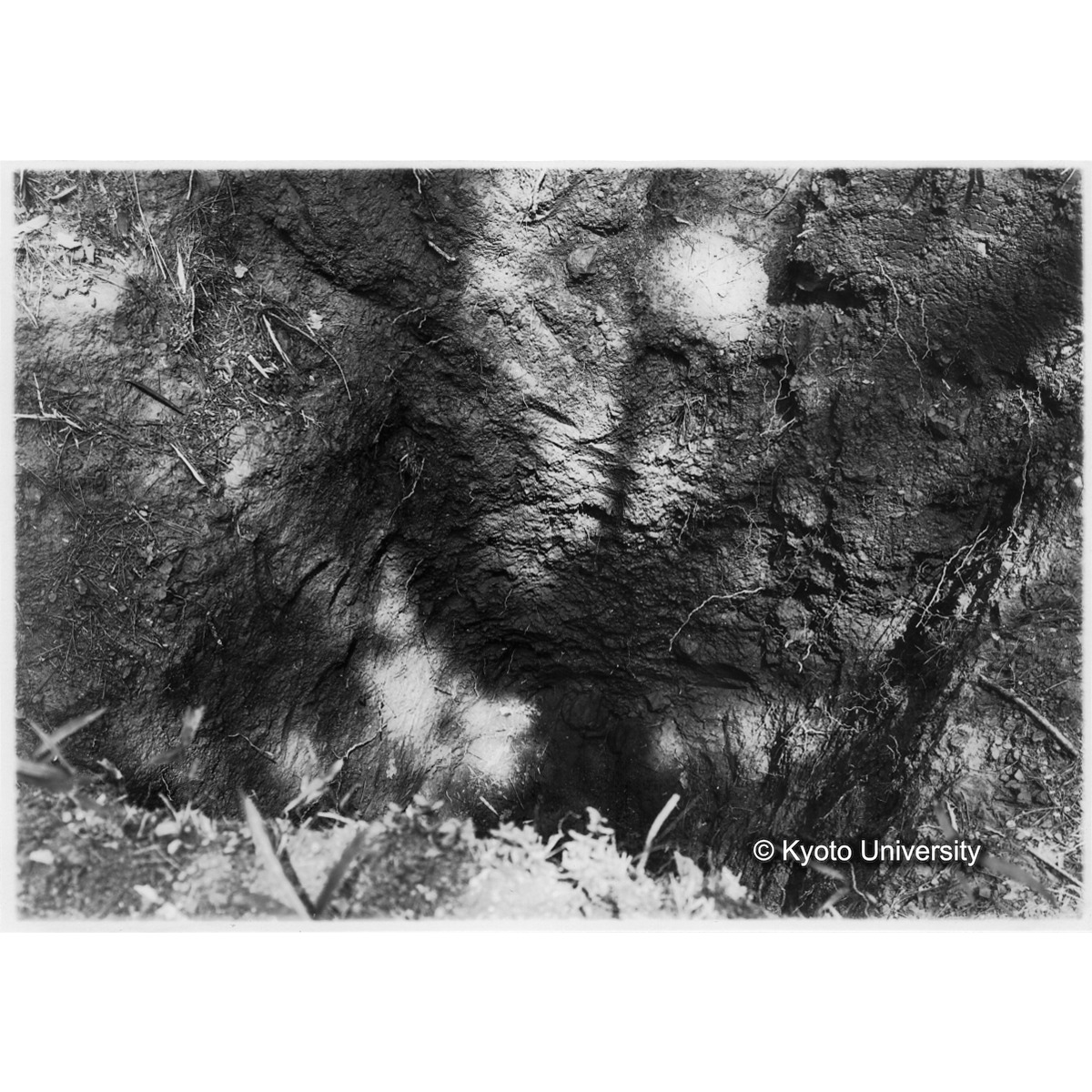 [紙焼き写真]古墳羨道下底敷石（俯観） (1)