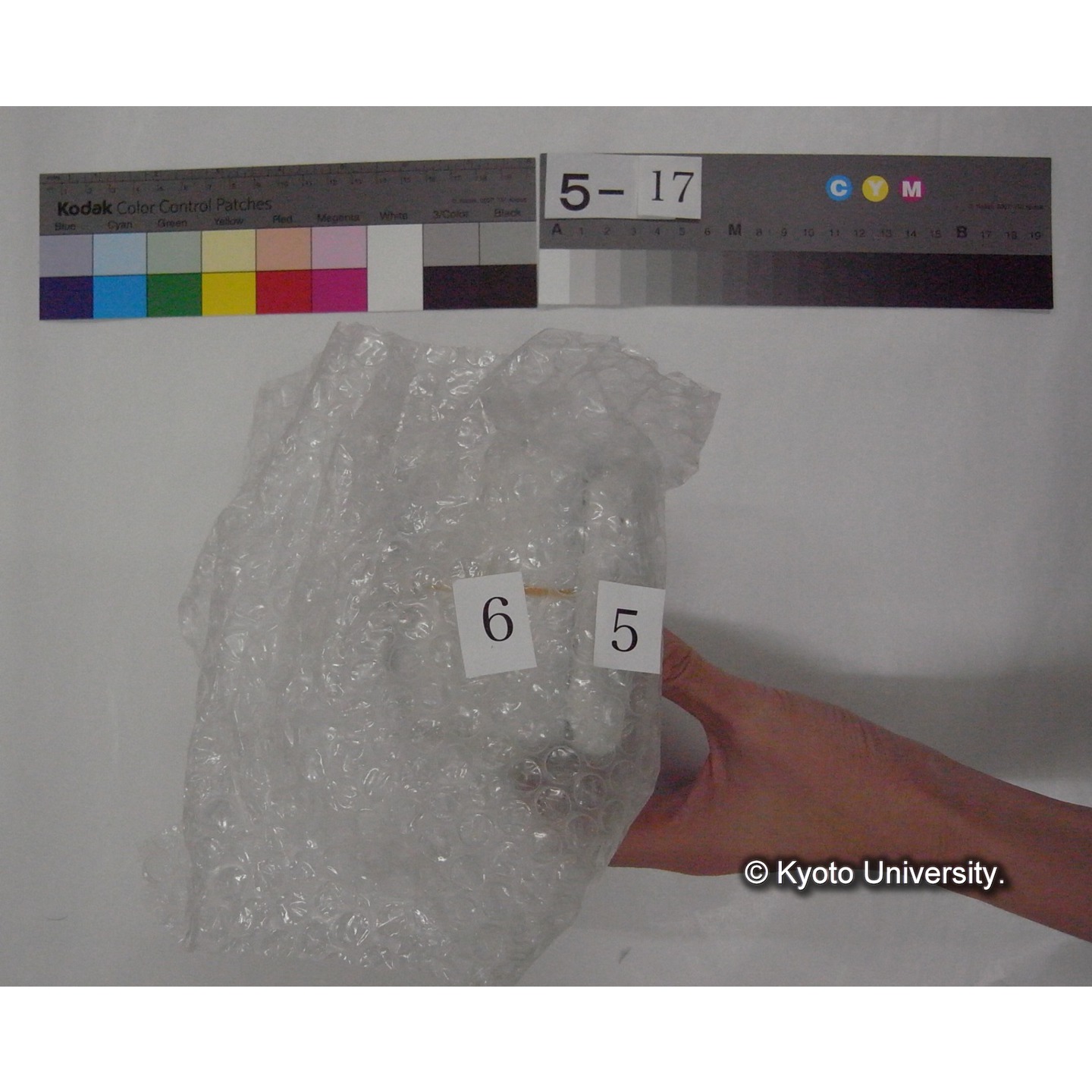 スライド(ガラス種板) (1)