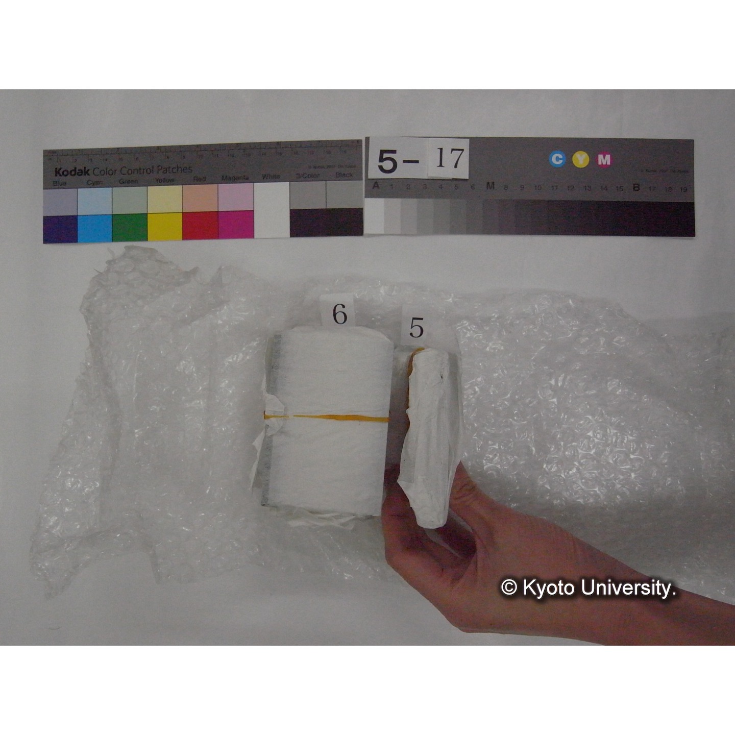 スライド(ガラス種板) (2)