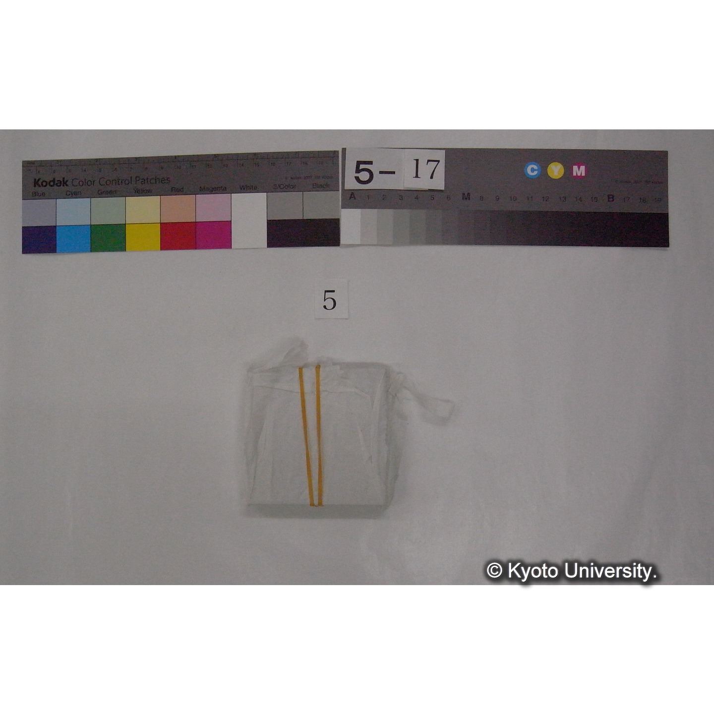 スライド(ガラス種板) (3)