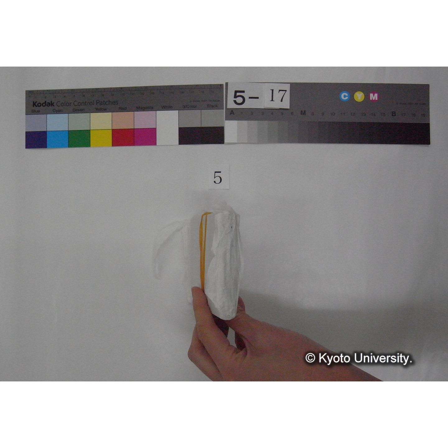 スライド(ガラス種板) (5)