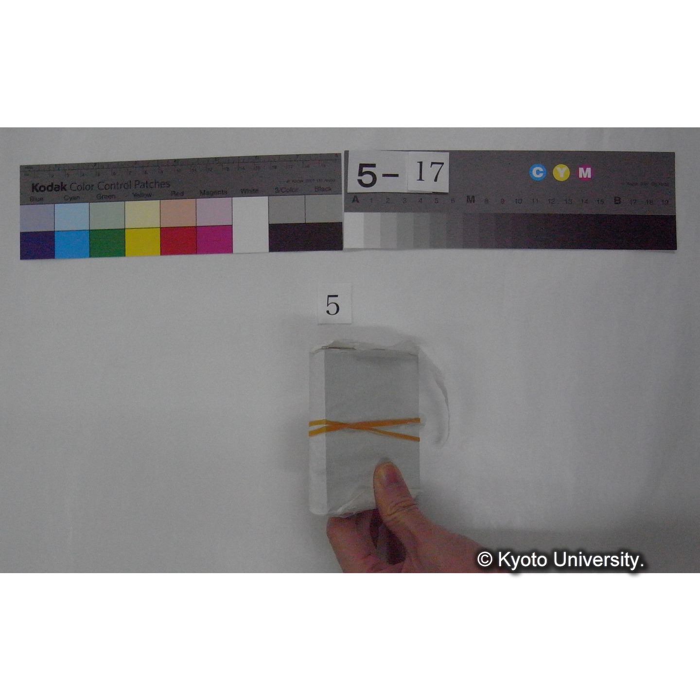 スライド(ガラス種板) (7)