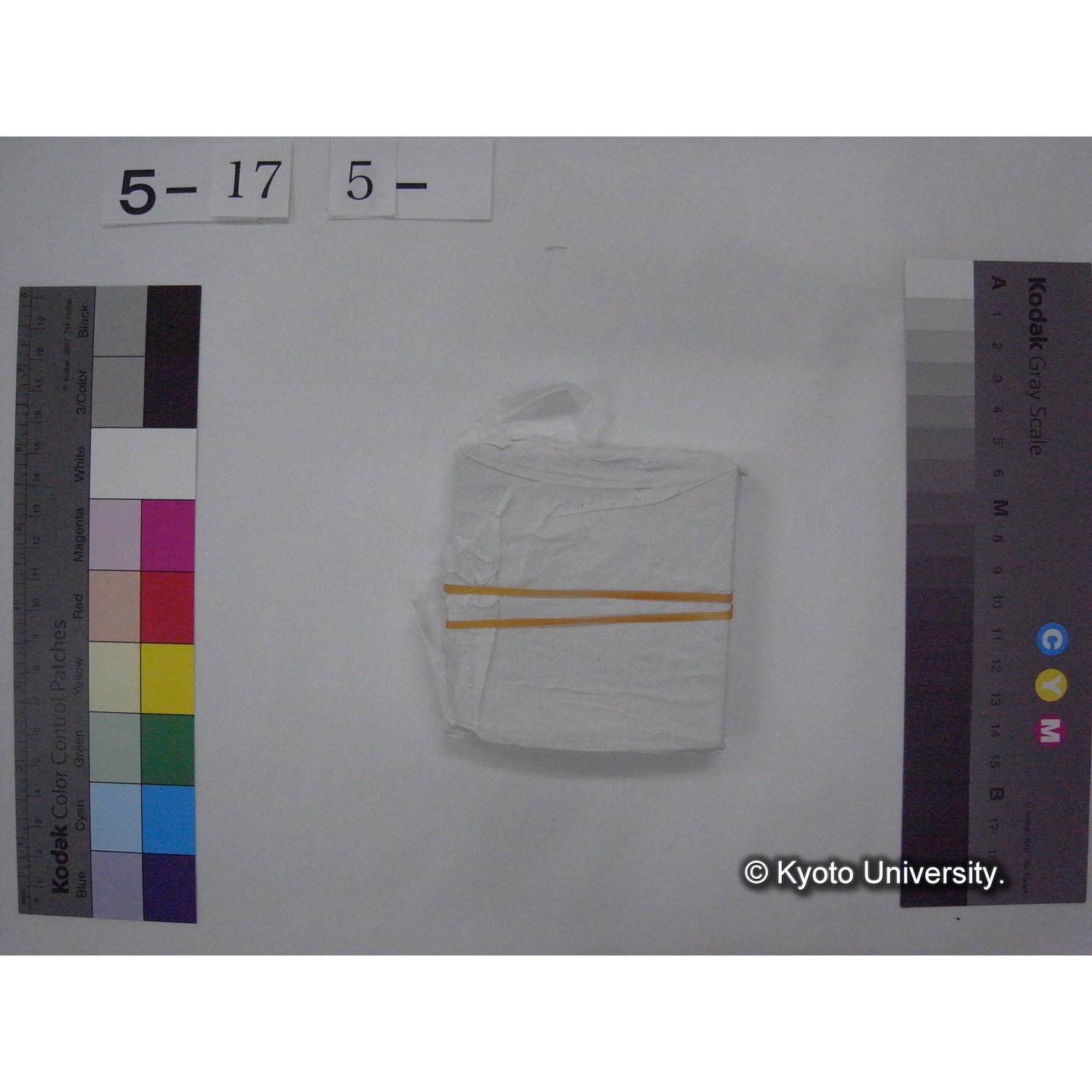 スライド(ガラス種板) (8)