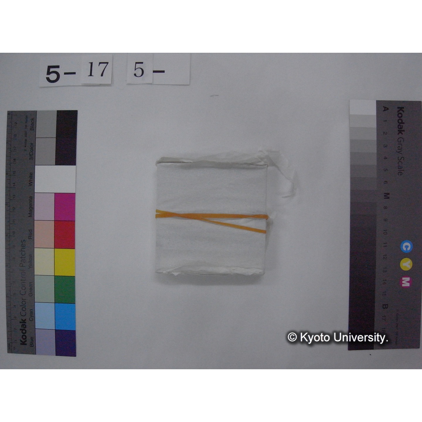 スライド(ガラス種板) (9)