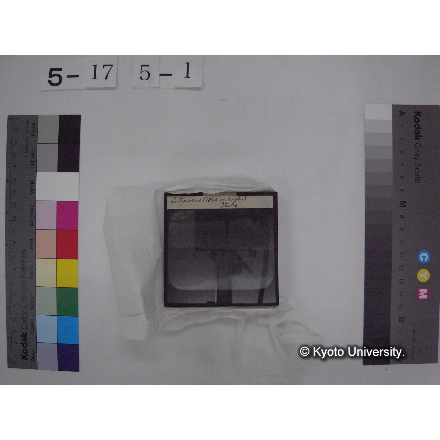 スライド(ガラス種板) (10)