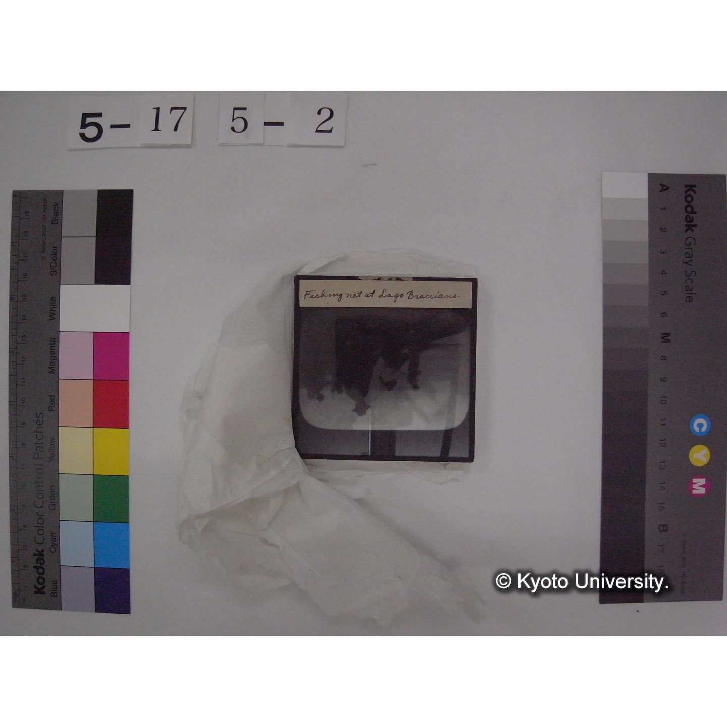 スライド(ガラス種板) (11)