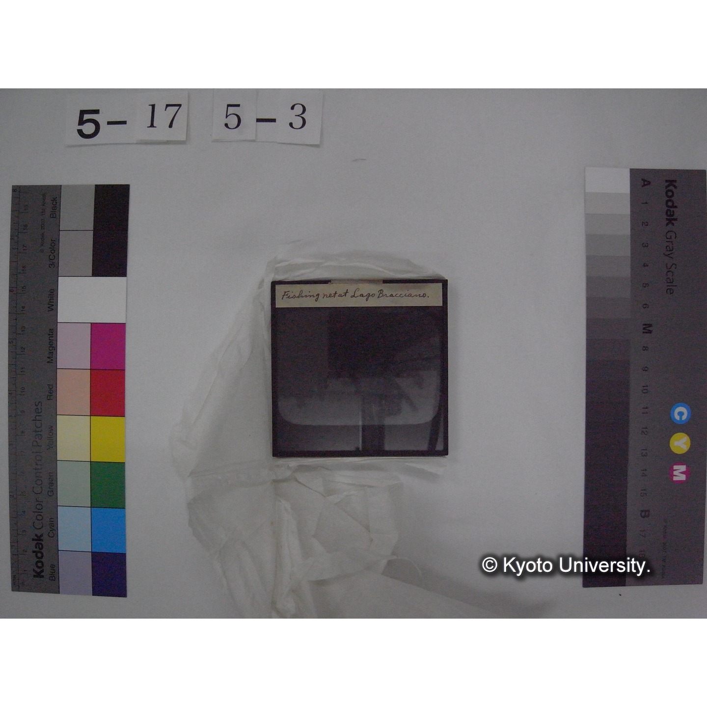 スライド(ガラス種板) (12)