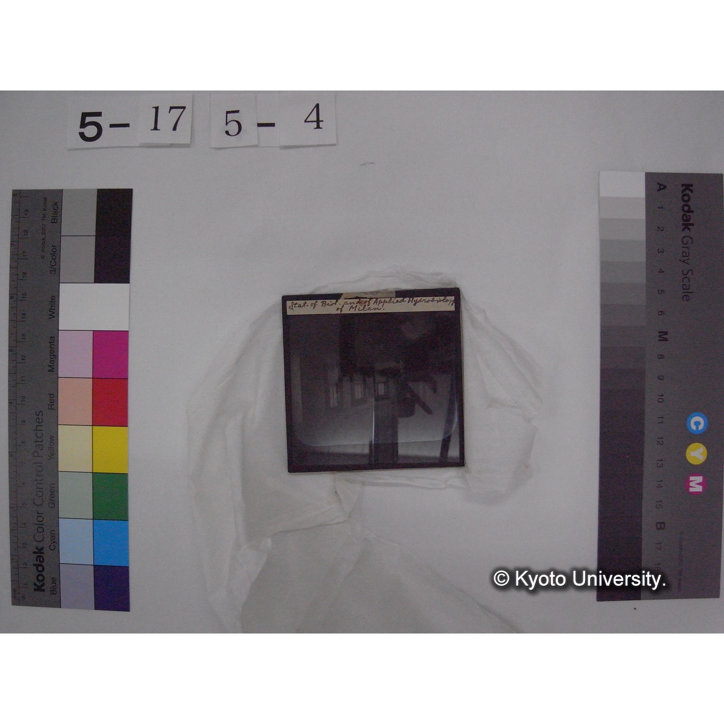 スライド(ガラス種板) (13)