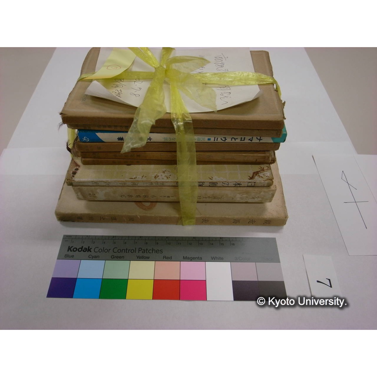 書籍括り(メモ付,ビニールひも) (2)