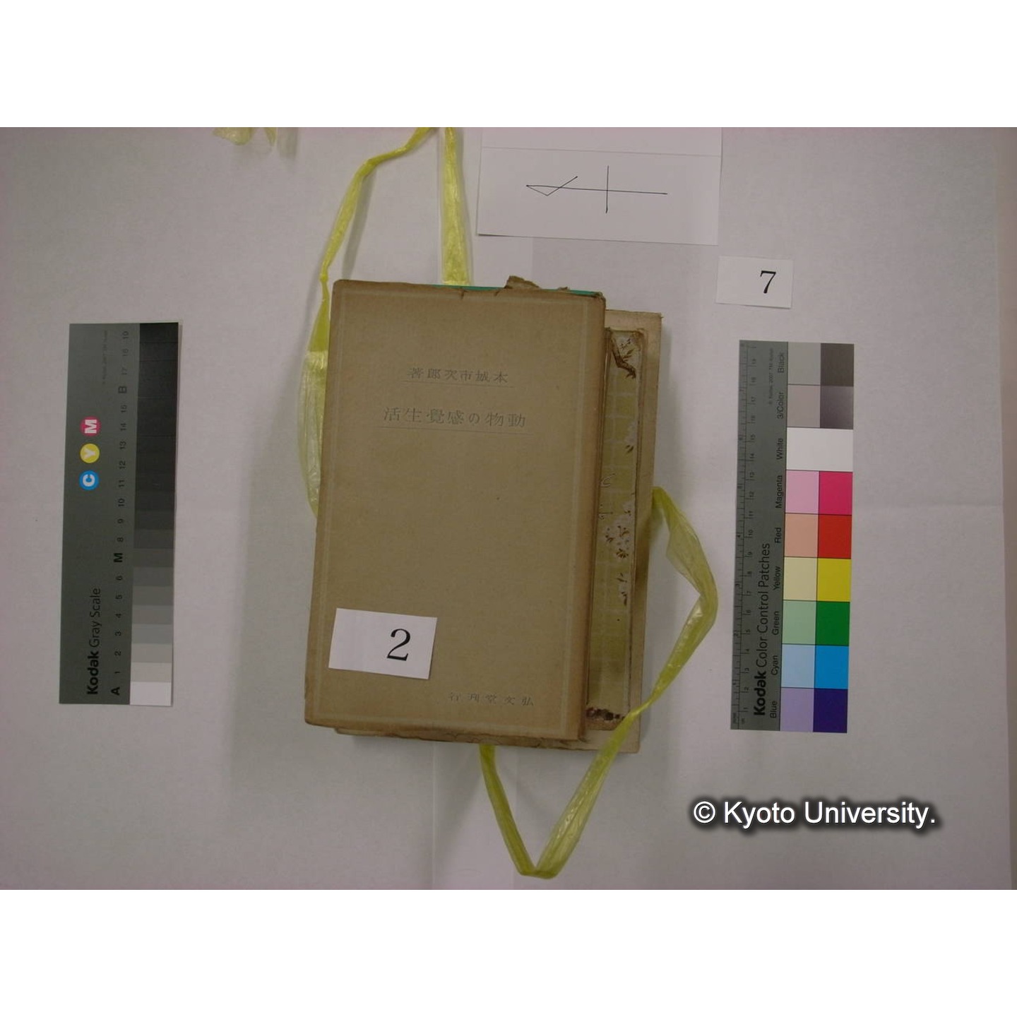 書籍括り(メモ付,ビニールひも) (4)