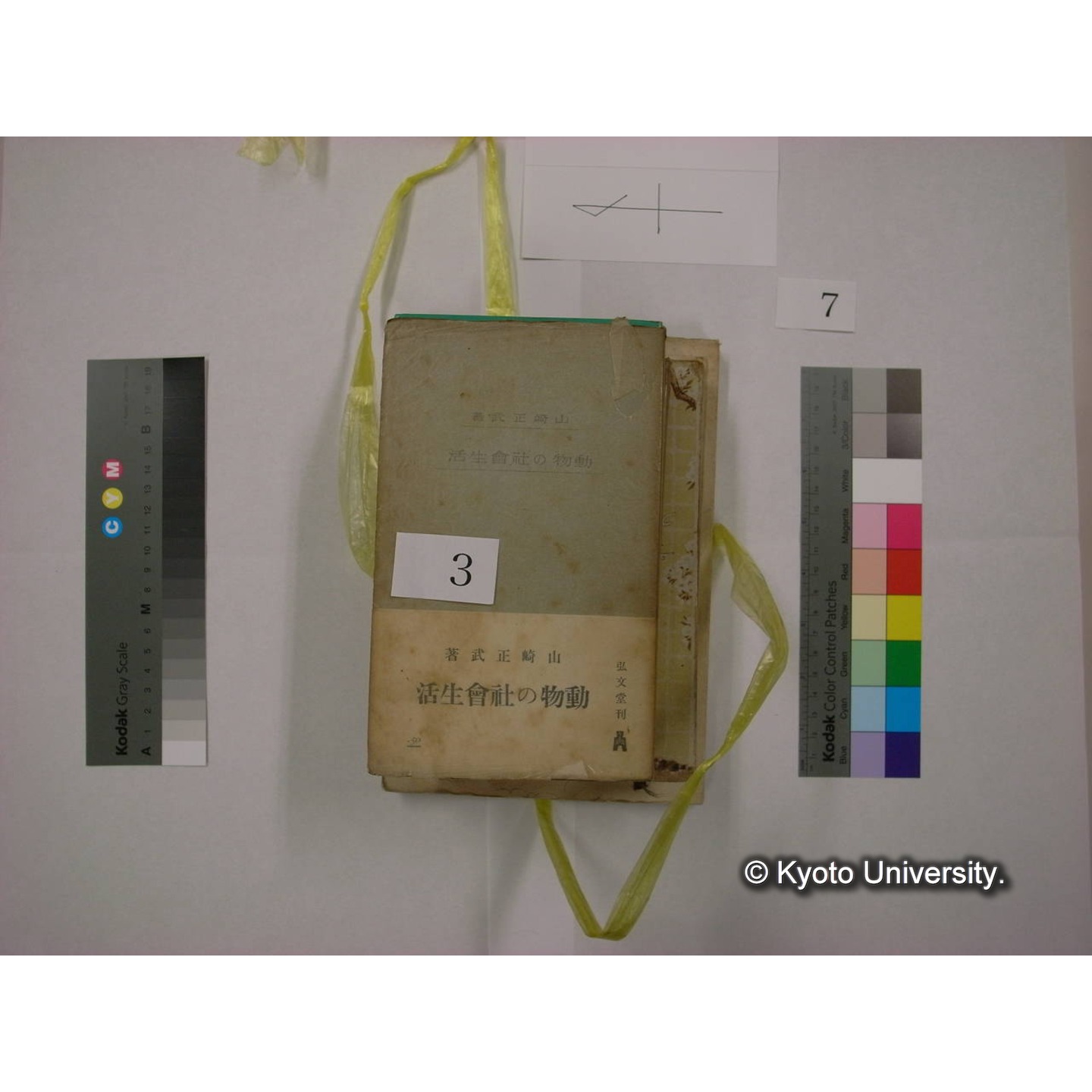 書籍括り(メモ付,ビニールひも) (5)