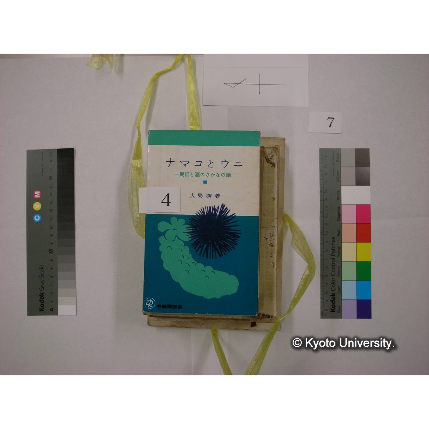 書籍括り(メモ付,ビニールひも) (6)