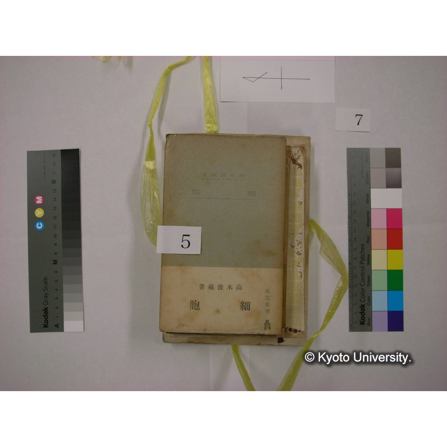 書籍括り(メモ付,ビニールひも) (7)