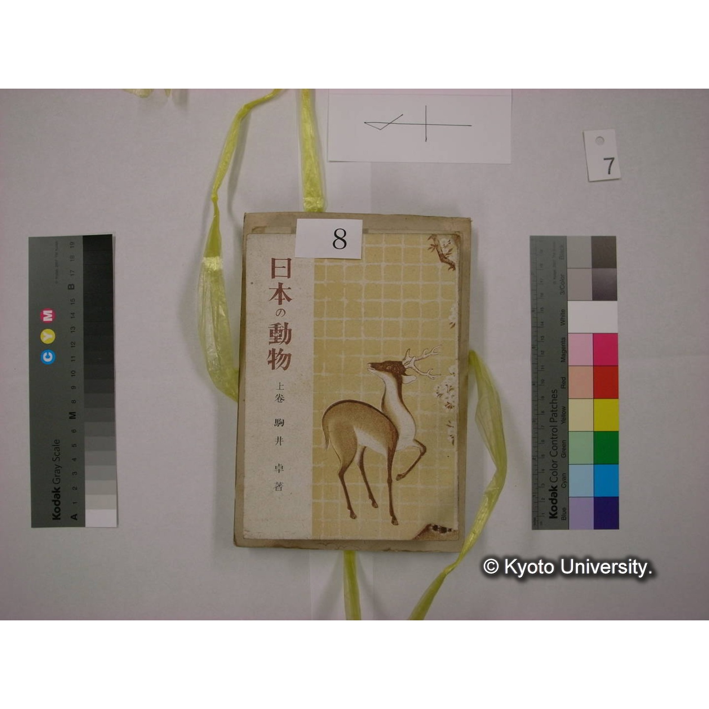 書籍括り(メモ付,ビニールひも) (10)