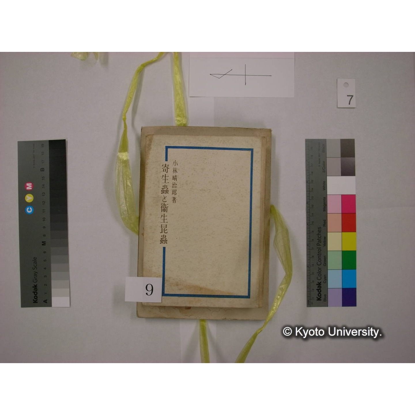 書籍括り(メモ付,ビニールひも) (11)