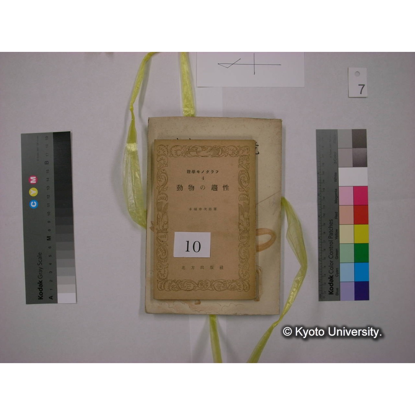 書籍括り(メモ付,ビニールひも) (12)