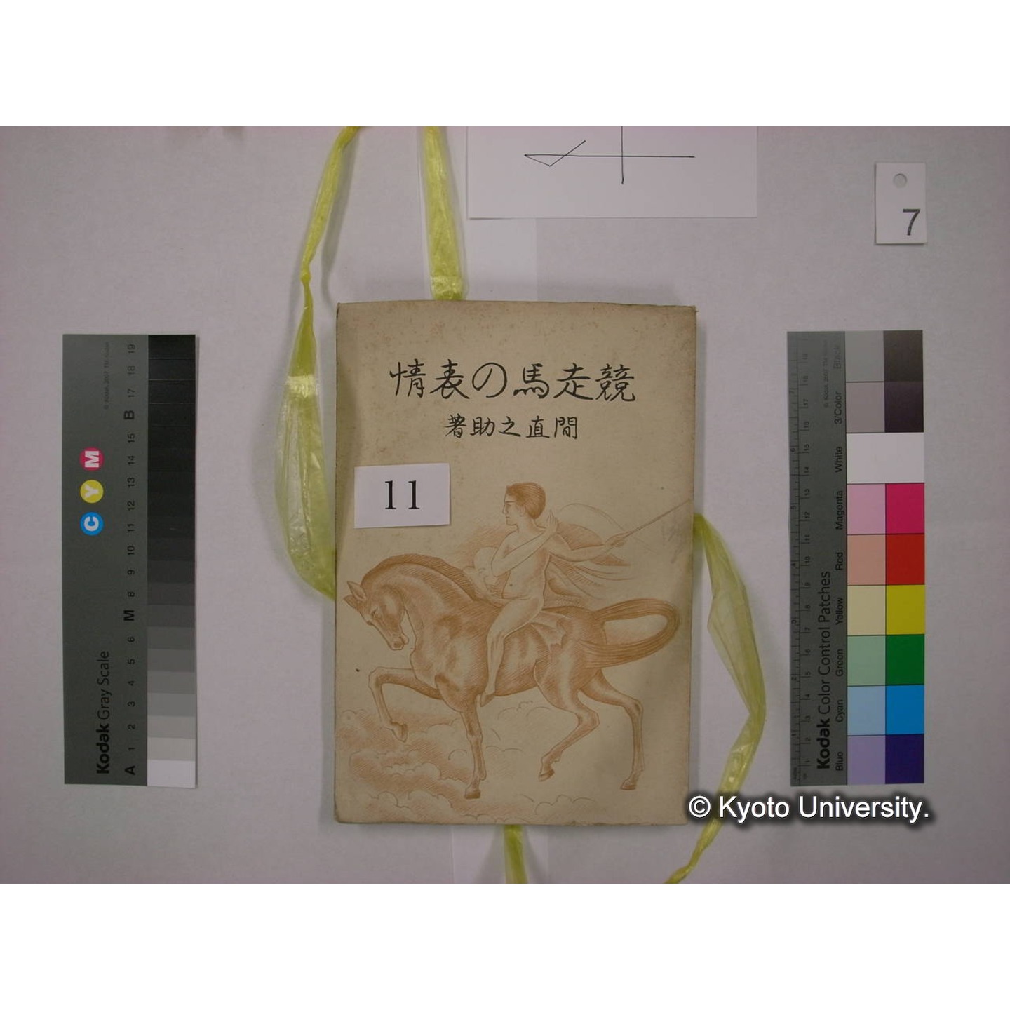 書籍括り(メモ付,ビニールひも) (13)