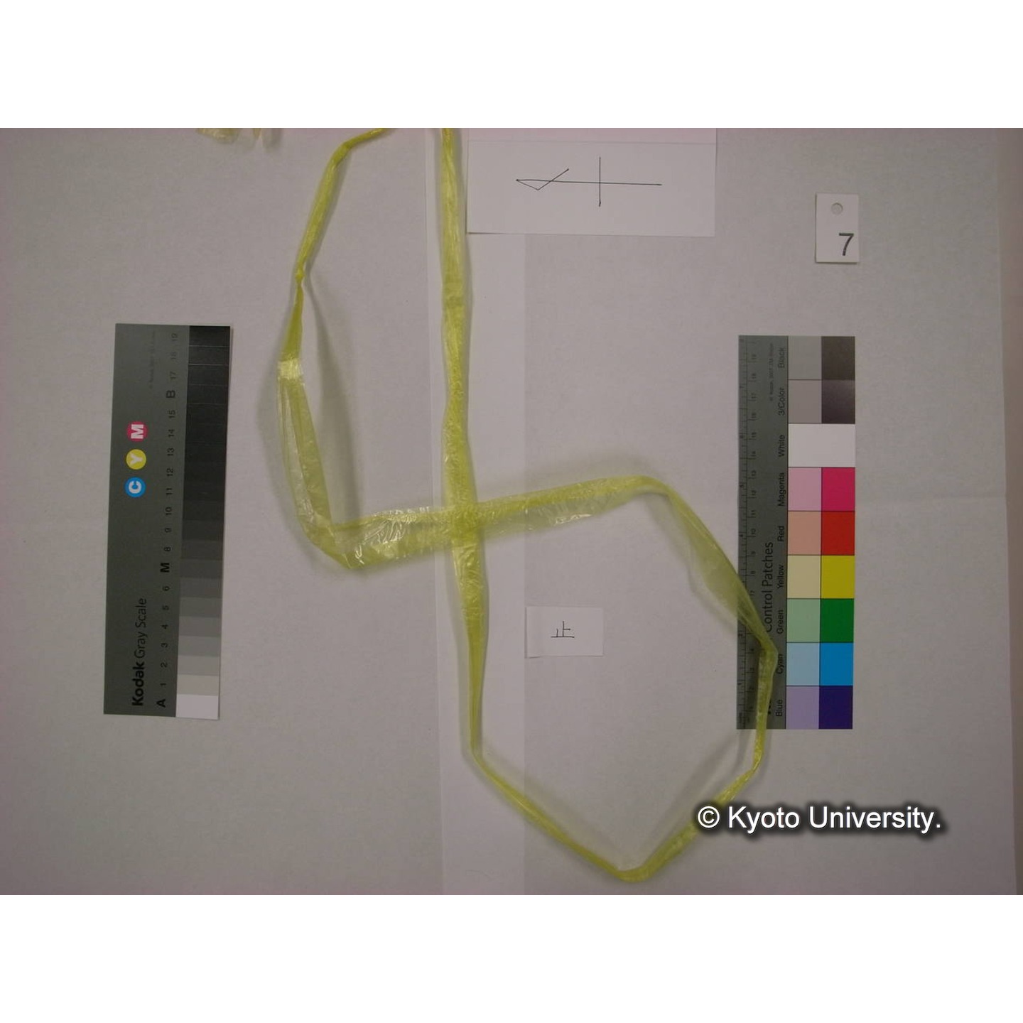 書籍括り(メモ付,ビニールひも) (14)