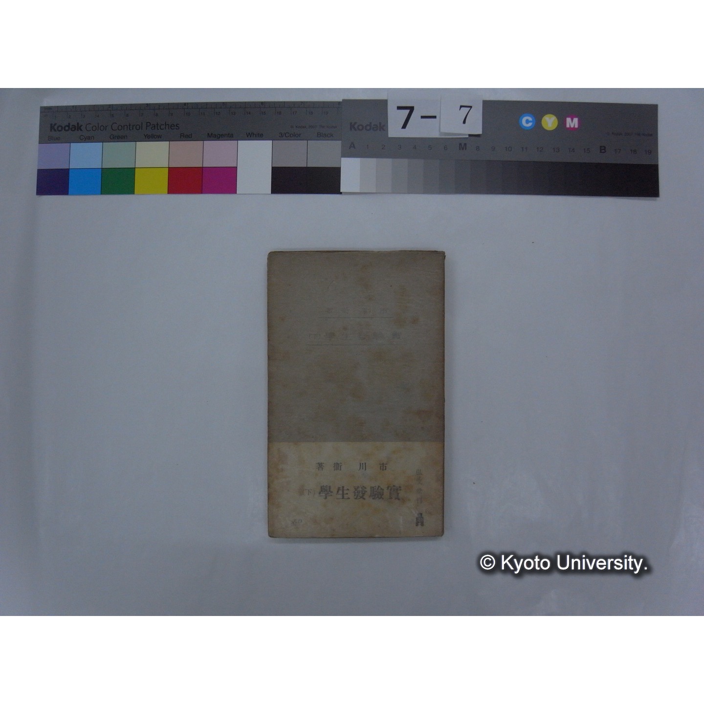 実験発生学 下 / 市川衛著 (1)