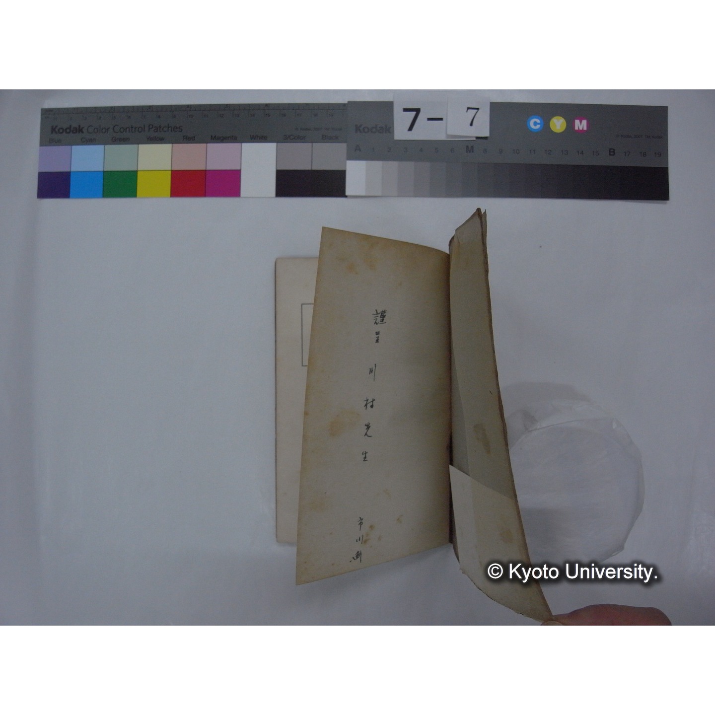 実験発生学 下 / 市川衛著 (2)