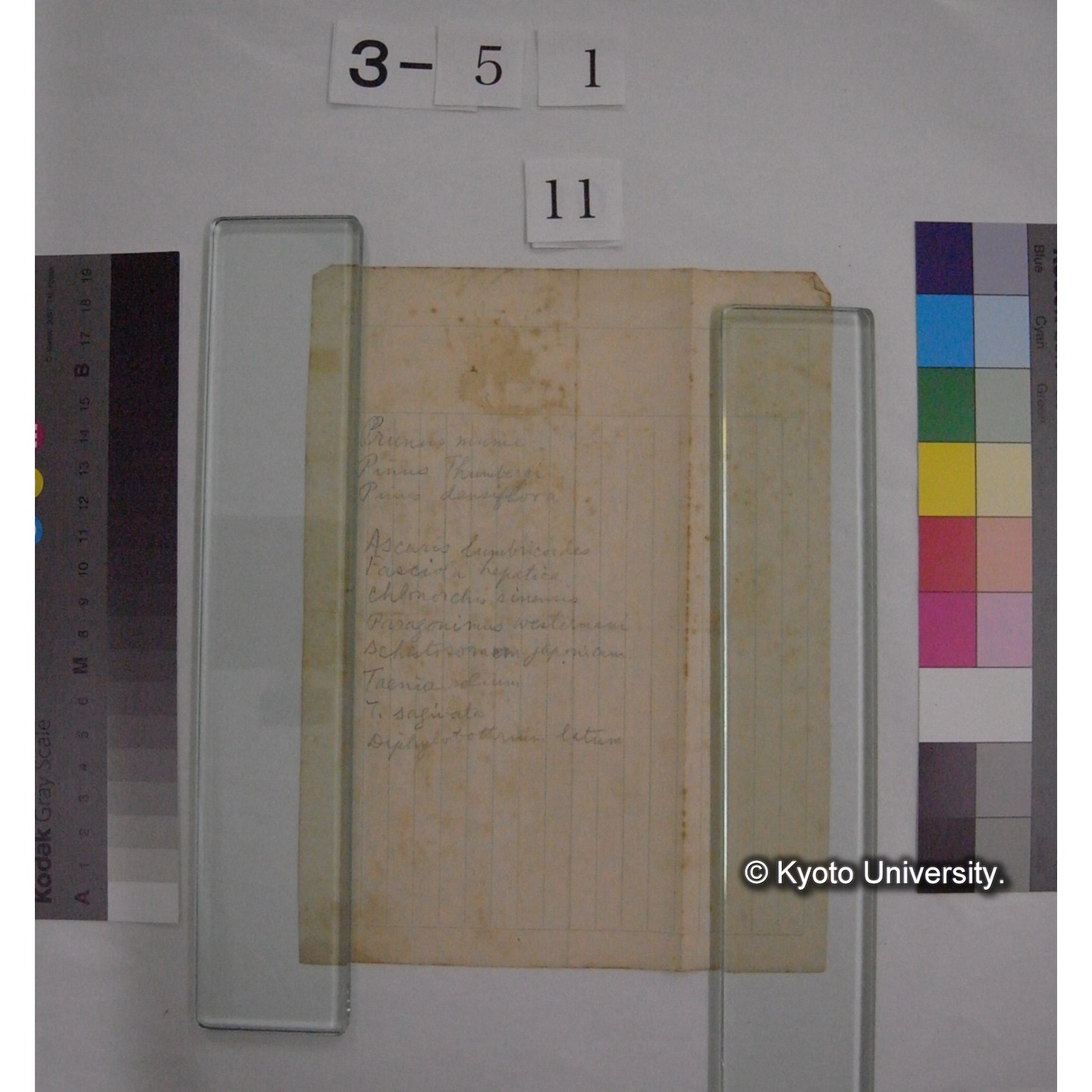 心の進化 : 川村多實二氏講演 (6)