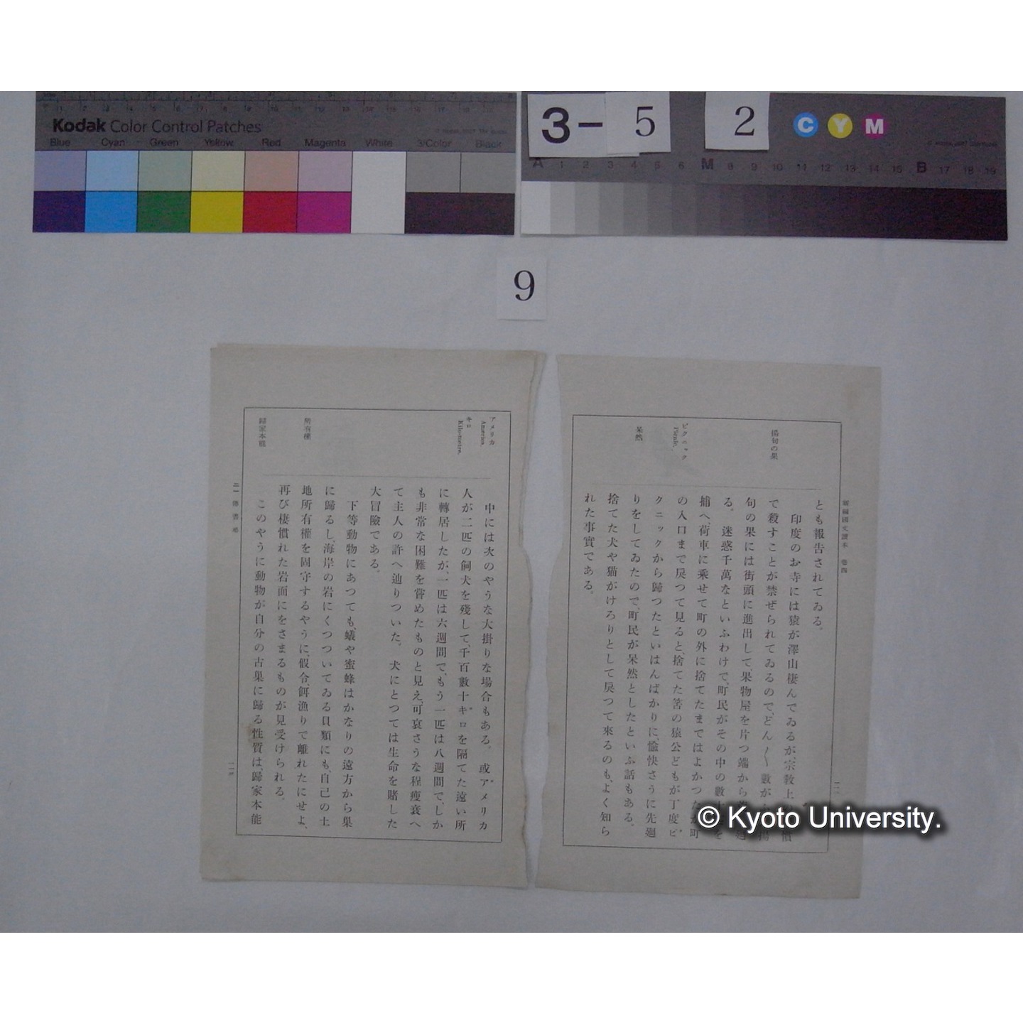 伝書鳩 / 川村多實二 (新編国文読本; 巻二切抜き) (2)