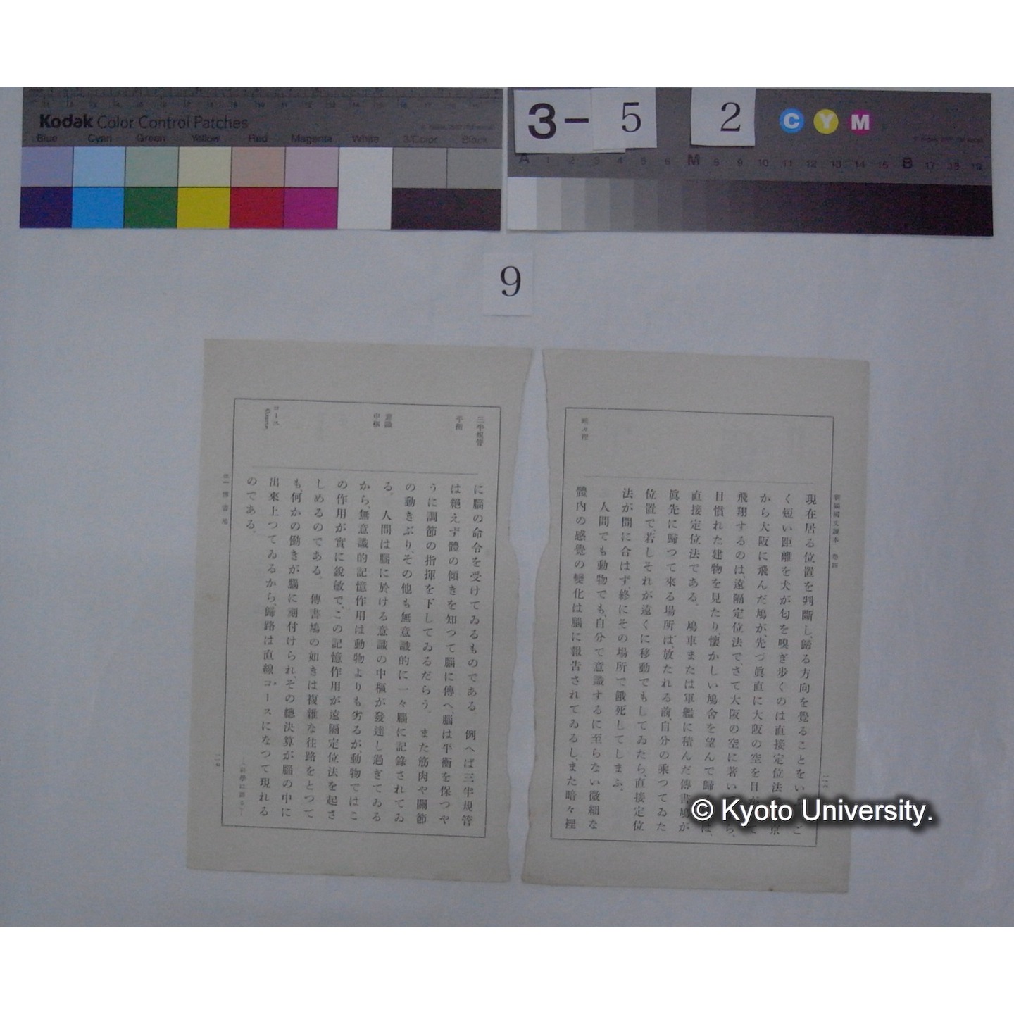 伝書鳩 / 川村多實二 (新編国文読本; 巻二切抜き) (3)