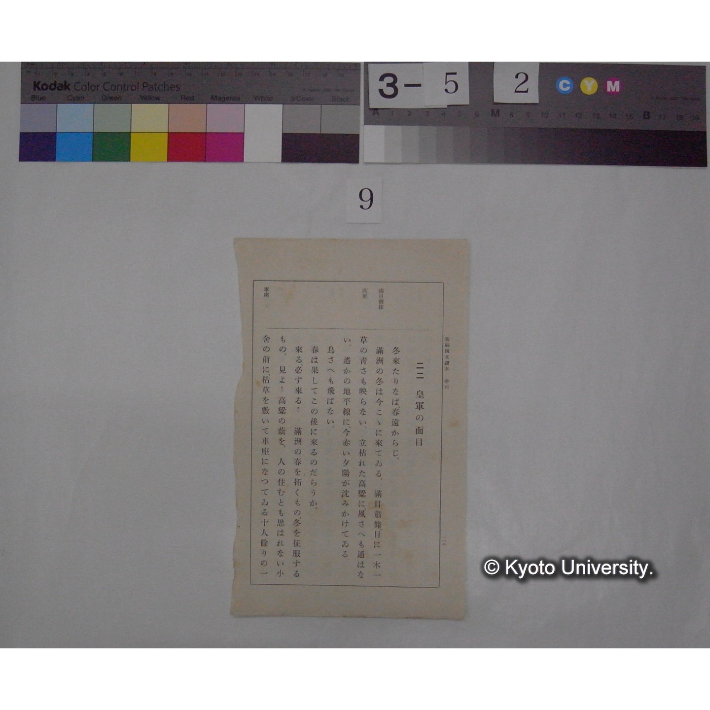 伝書鳩 / 川村多實二 (新編国文読本; 巻二切抜き) (4)