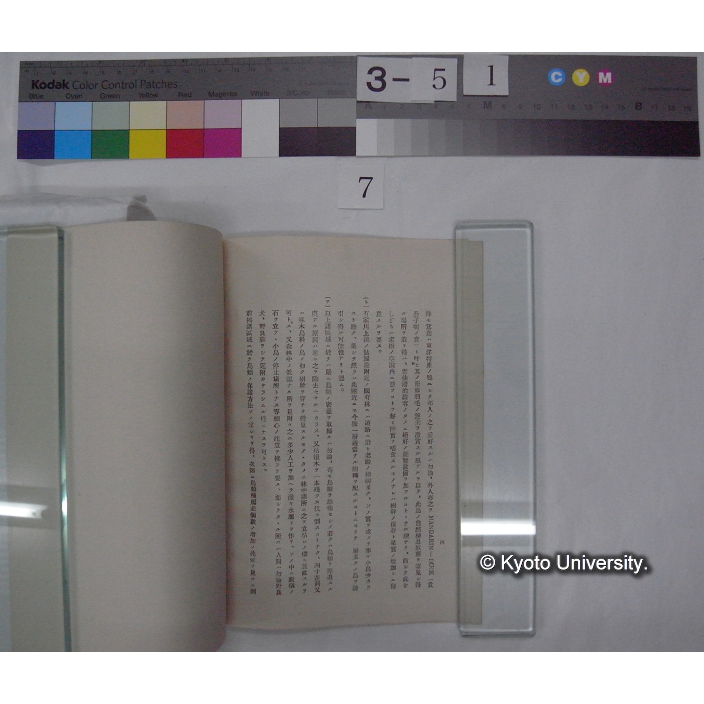 雲仙公園内野生鳥類保護ニ関スル私見 / 川村多實二 (3)