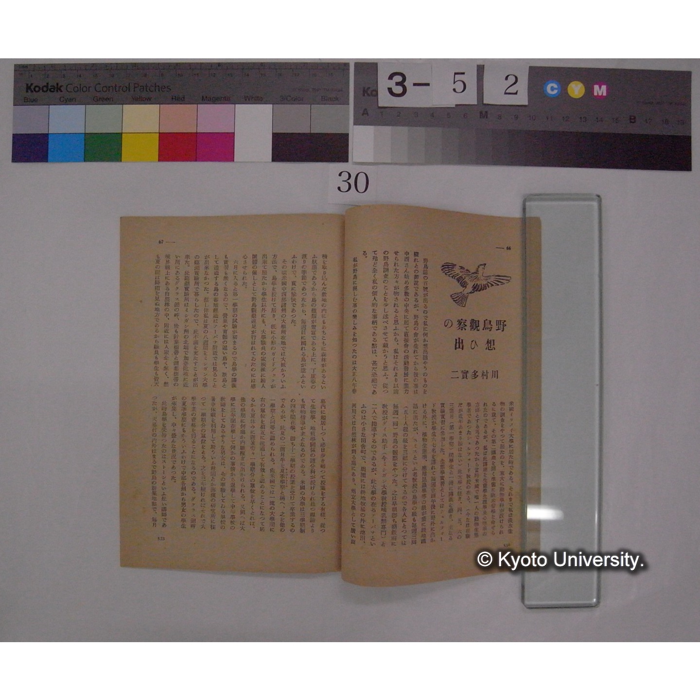 野鳥観察の思ひ出 / 川村多實二 (野鳥; 9巻8号別刷) (2)