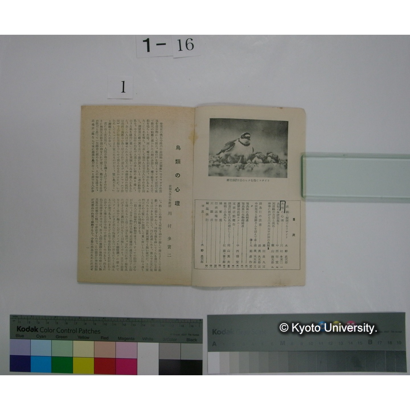VOGEL 15号(昭和32.12) : 日本野鳥の会郡山支部報 (2)