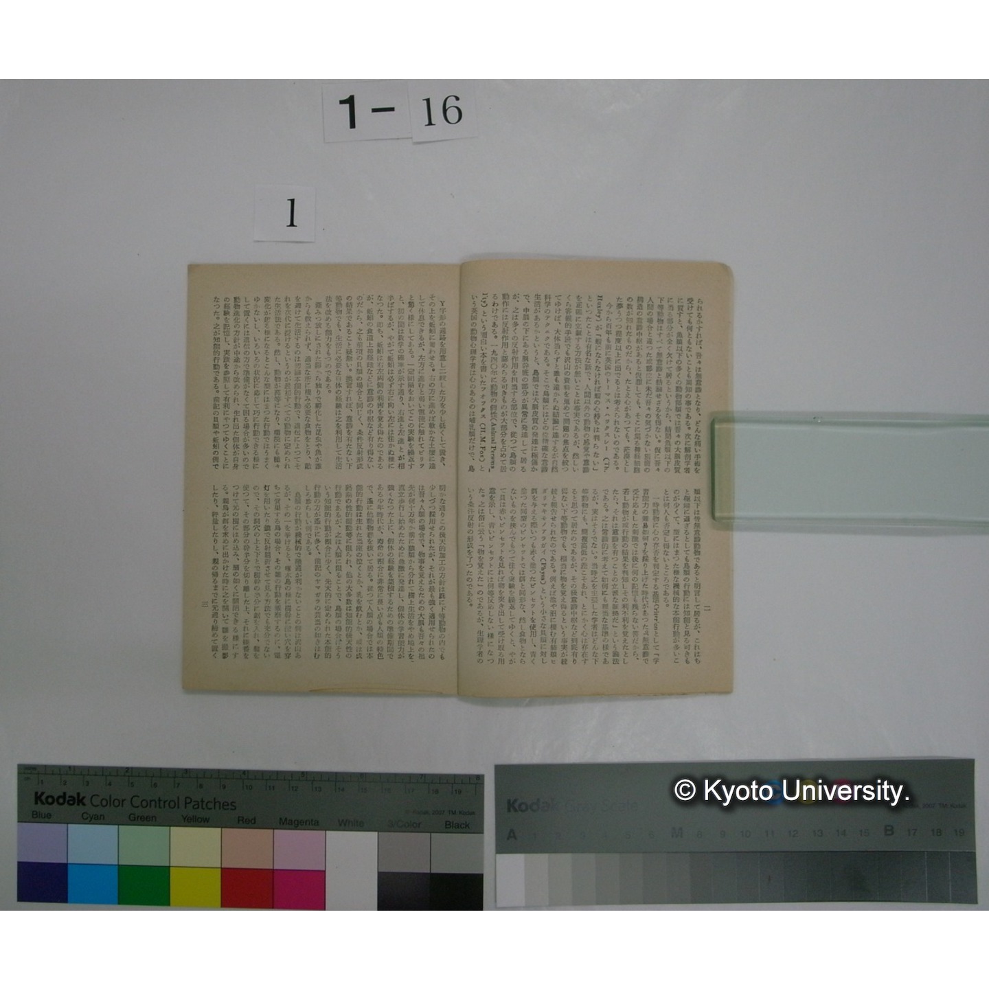 VOGEL 15号(昭和32.12) : 日本野鳥の会郡山支部報 (3)