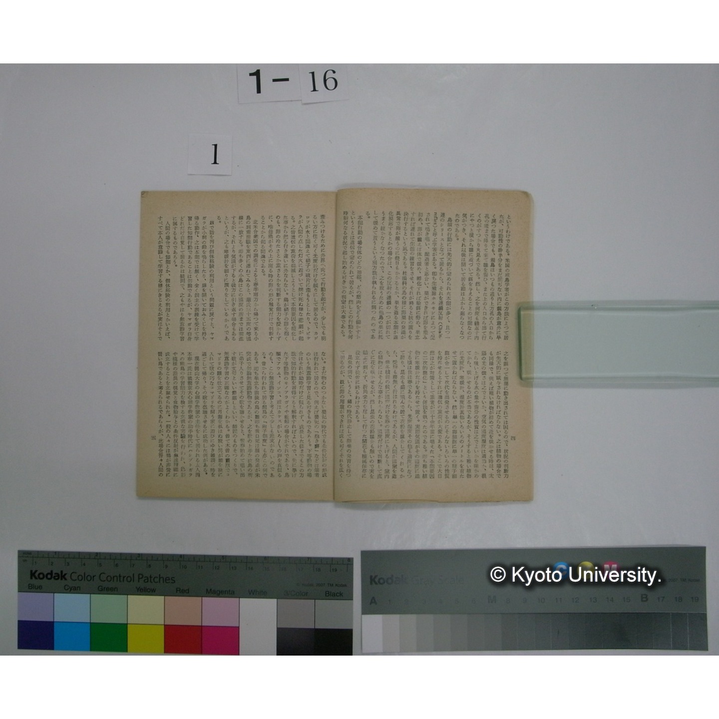 VOGEL 15号(昭和32.12) : 日本野鳥の会郡山支部報 (4)