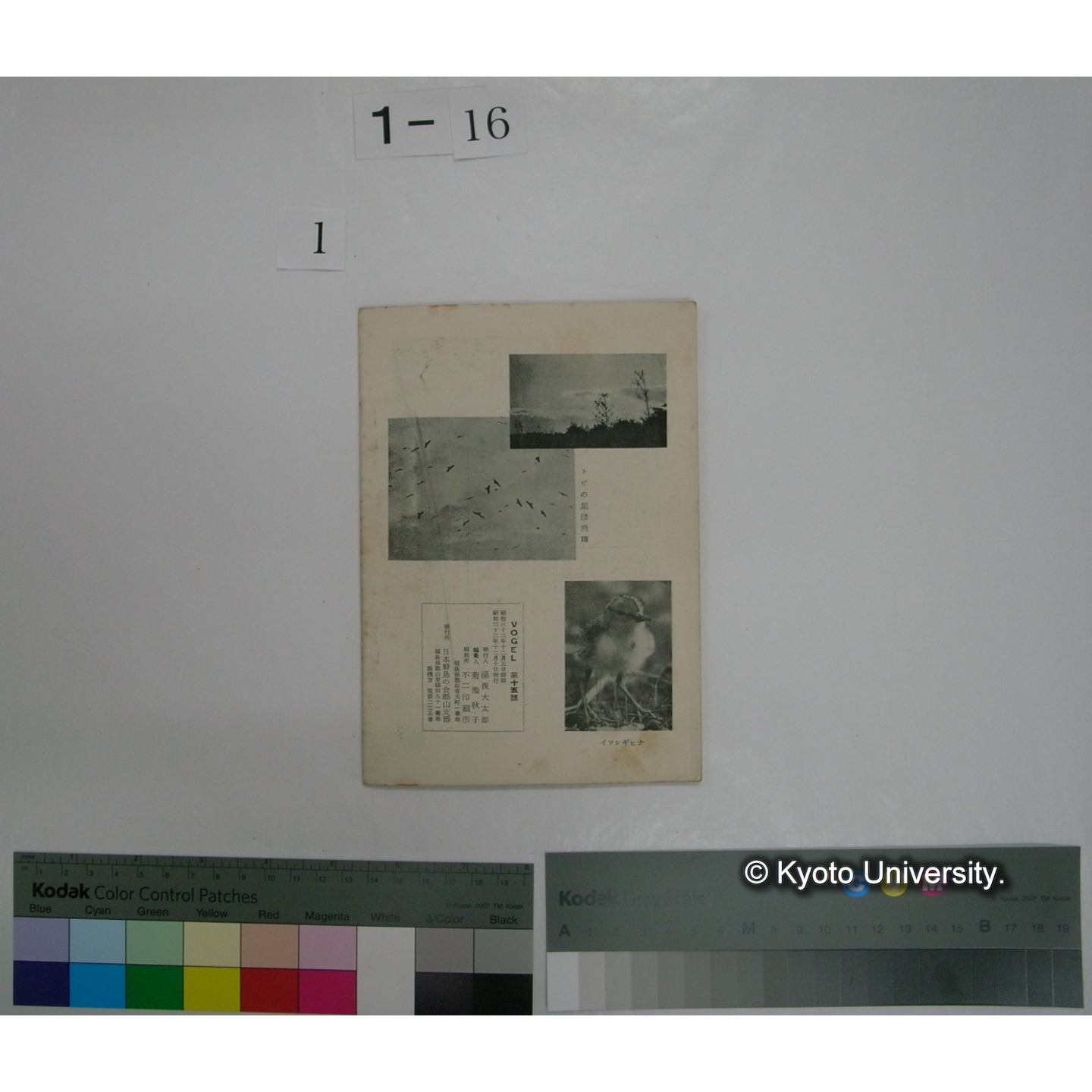 VOGEL 15号(昭和32.12) : 日本野鳥の会郡山支部報 (6)