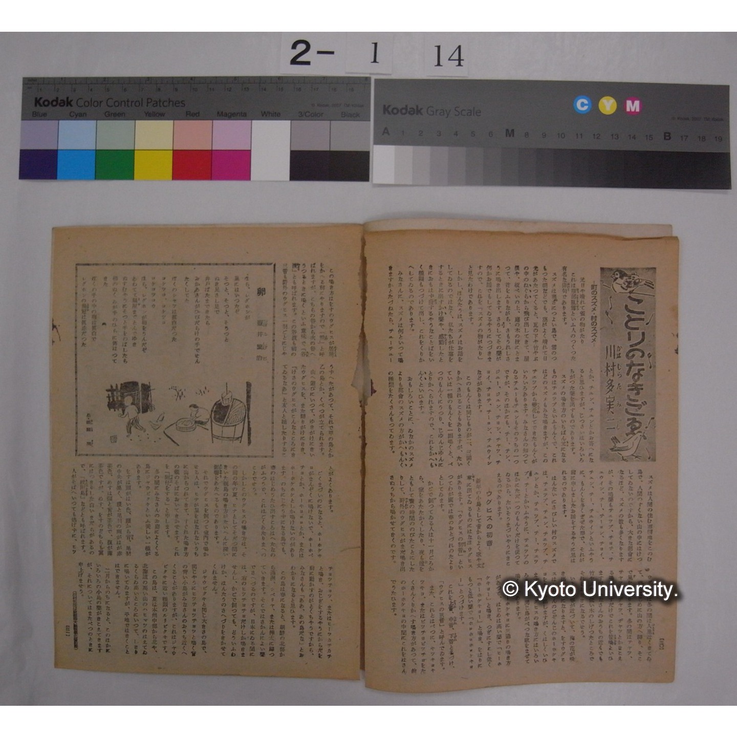 こども朝日 7巻1号(昭和22.1) / 朝日新聞社 (部分) (2)