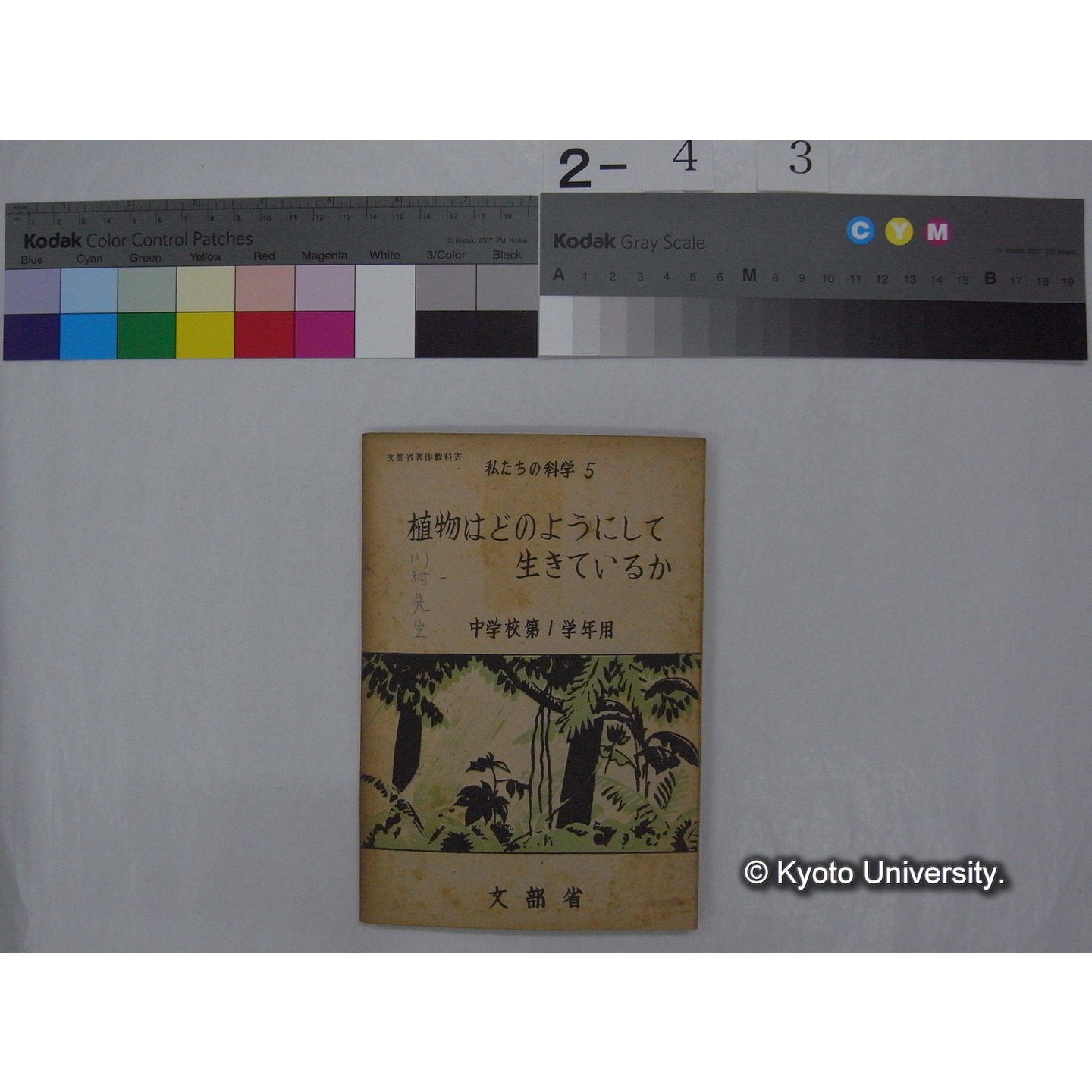 植物はどのようにしていきているか : 中学校第1学年用 / 文部省 (私たちの科学; 5 ) (1)