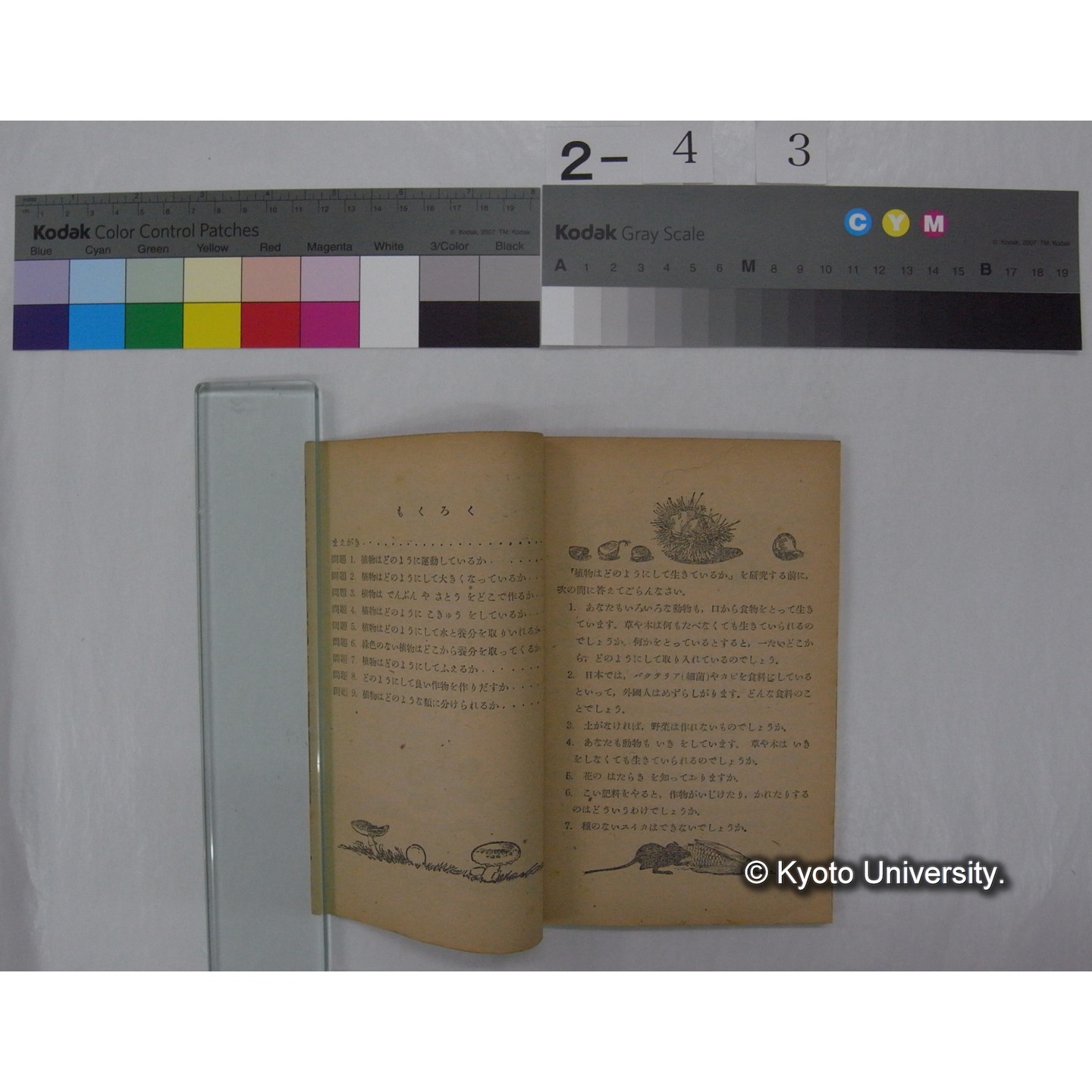 植物はどのようにしていきているか : 中学校第1学年用 / 文部省 (私たちの科学; 5 ) (2)