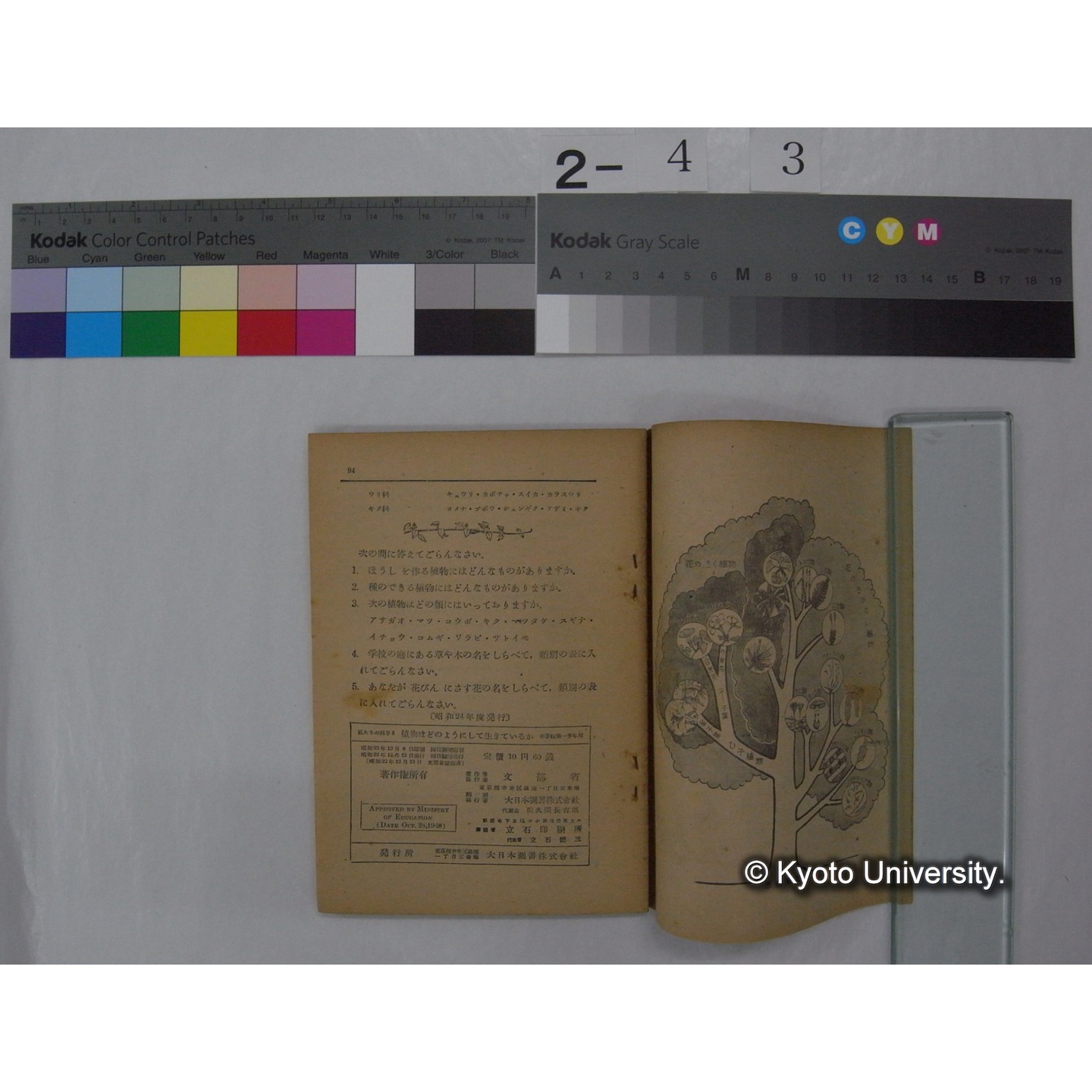 植物はどのようにしていきているか : 中学校第1学年用 / 文部省 (私たちの科学; 5 ) (3)