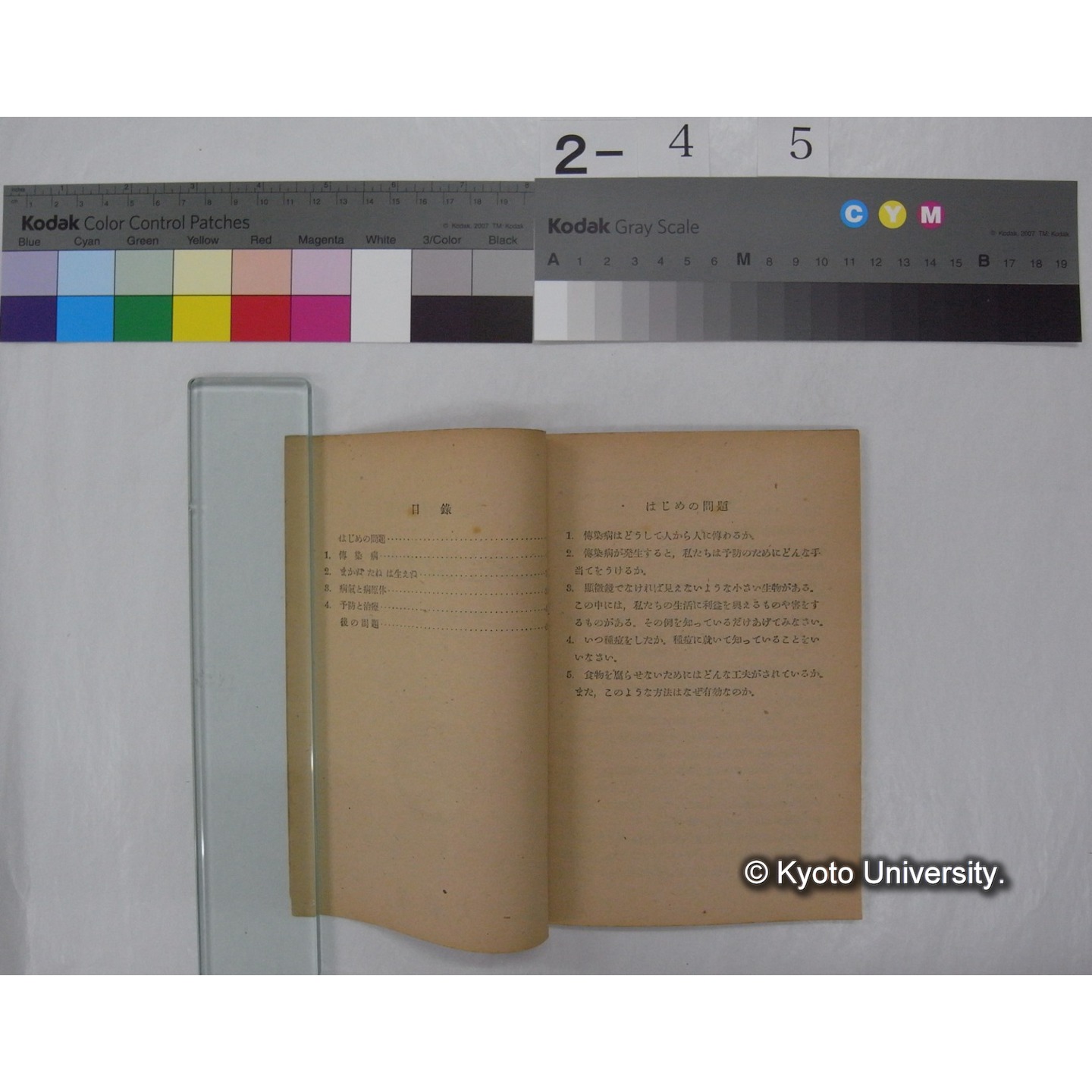 人と微生物とのたたかい : 中学校第3学年用 / 文部省 (私たちの科学; 17 ) (2)