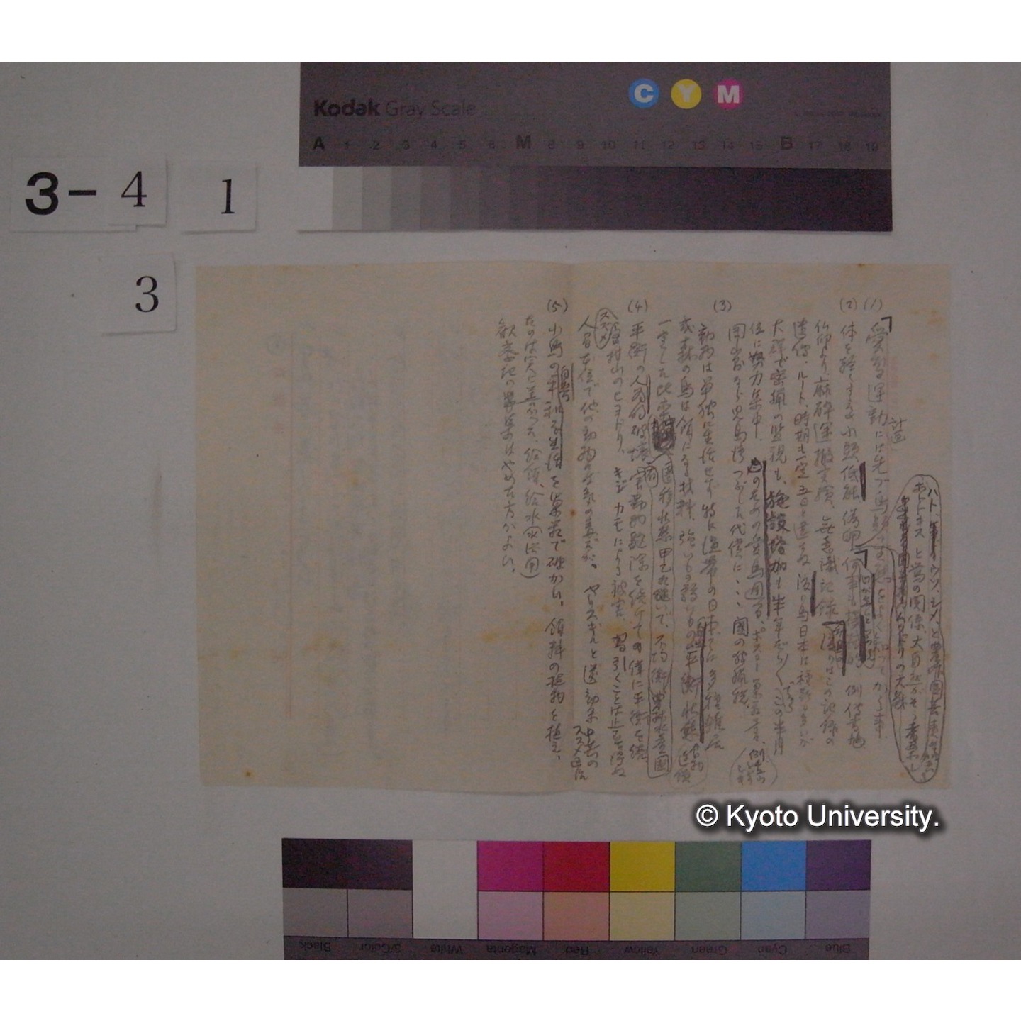 (生物の美的進化 ; 愛鳥運動) [直筆原稿] / (川村多實二) (2)