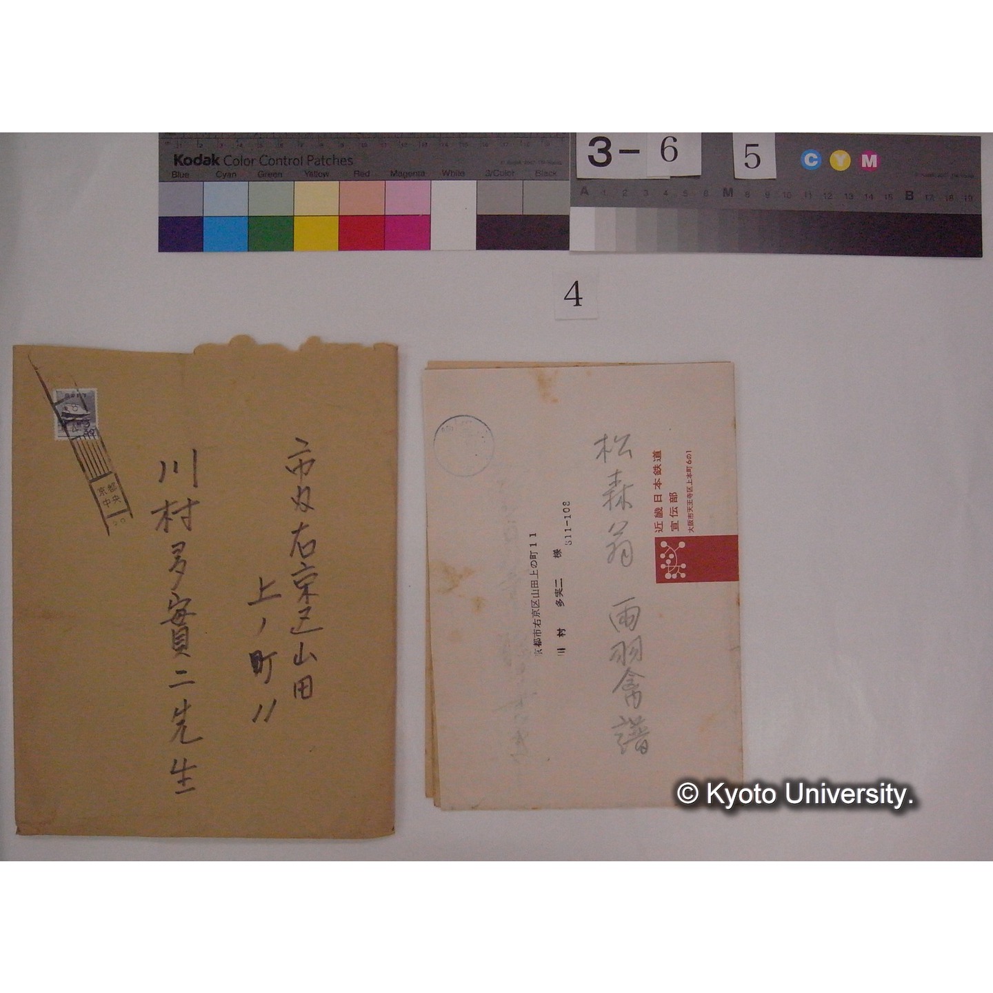 「両羽博物図譜 : 禽類図譜 / 松森胤保」抜粋 / (川村多實二写)[直筆書写] (1)