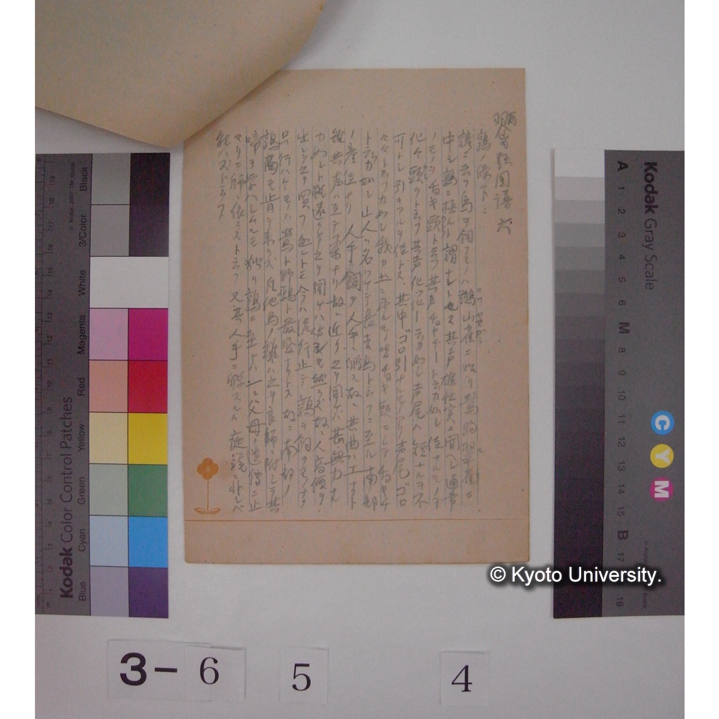 「両羽博物図譜 : 禽類図譜 / 松森胤保」抜粋 / (川村多實二写)[直筆書写] (6)