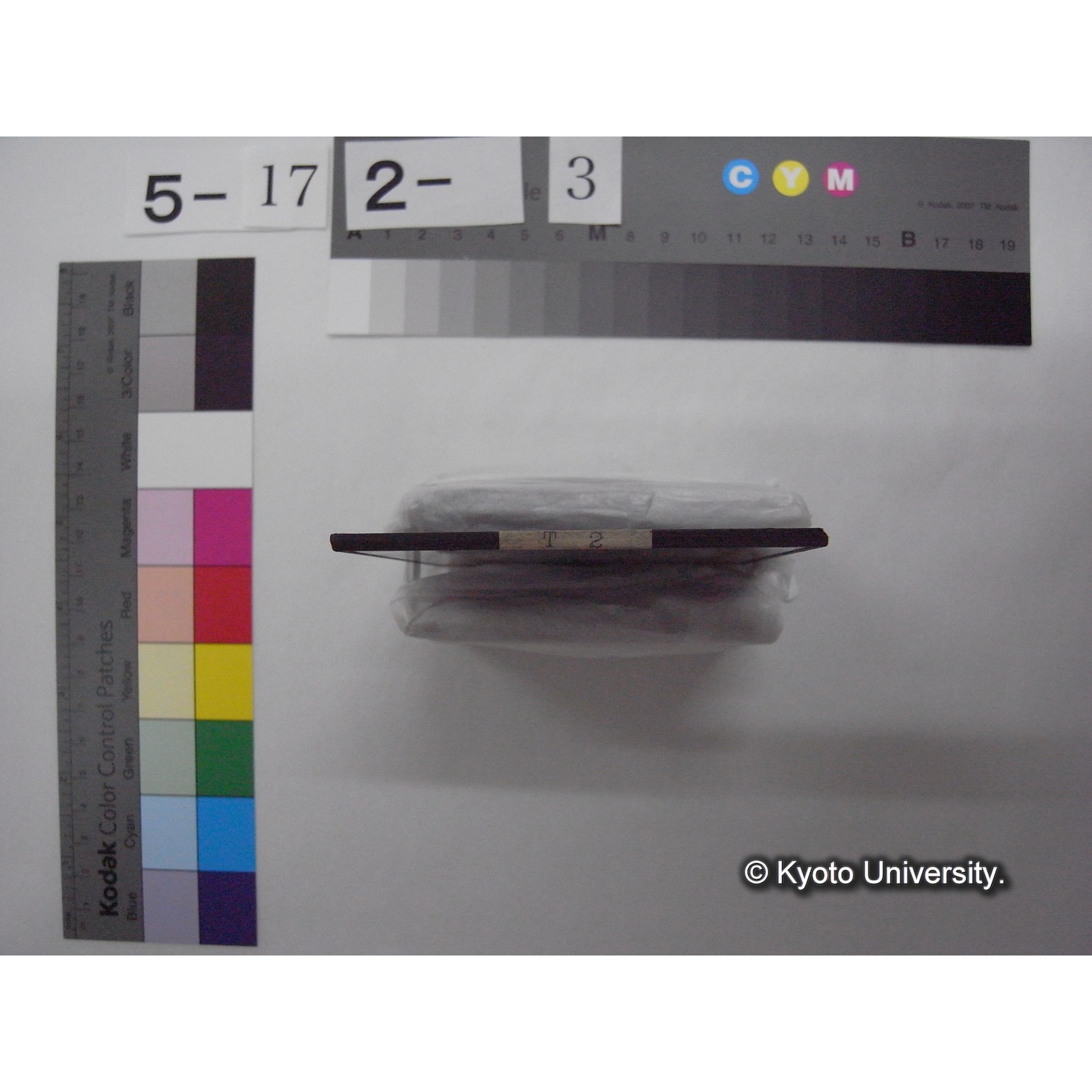 スライド(ガラス種板): T02 Lake noziri and Myokozan, An example with high value of digitalmass. (2)