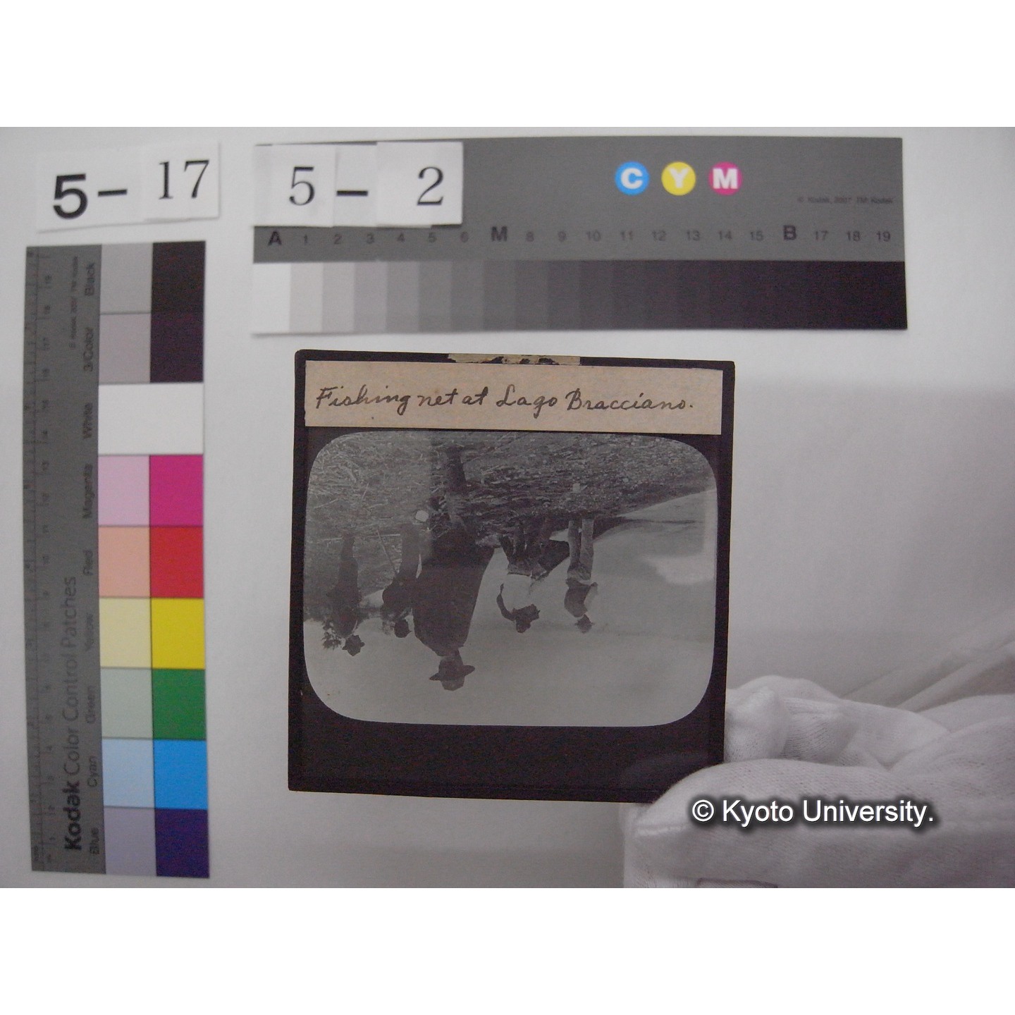 スライド(ガラス種板): S26 Fishing net at Logo Bracciano. (1)