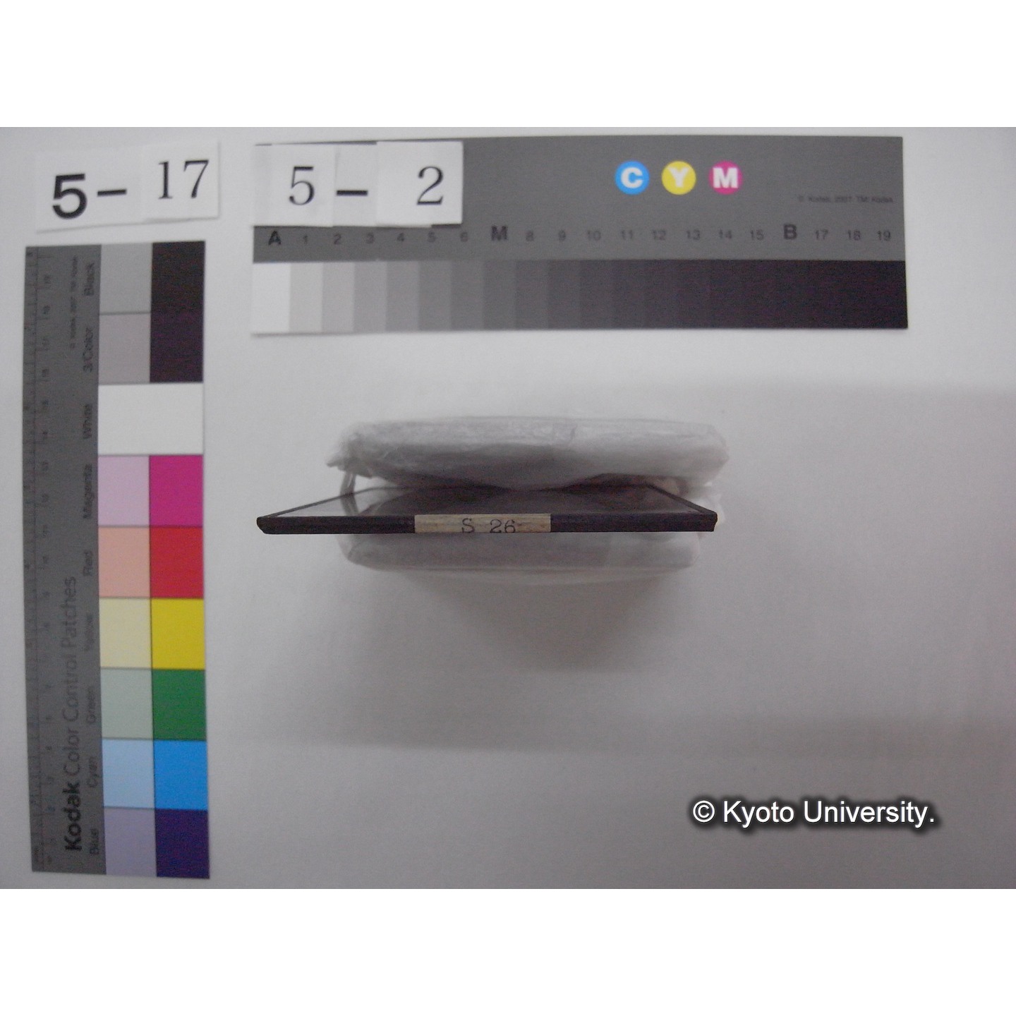 スライド(ガラス種板): S26 Fishing net at Logo Bracciano. (2)